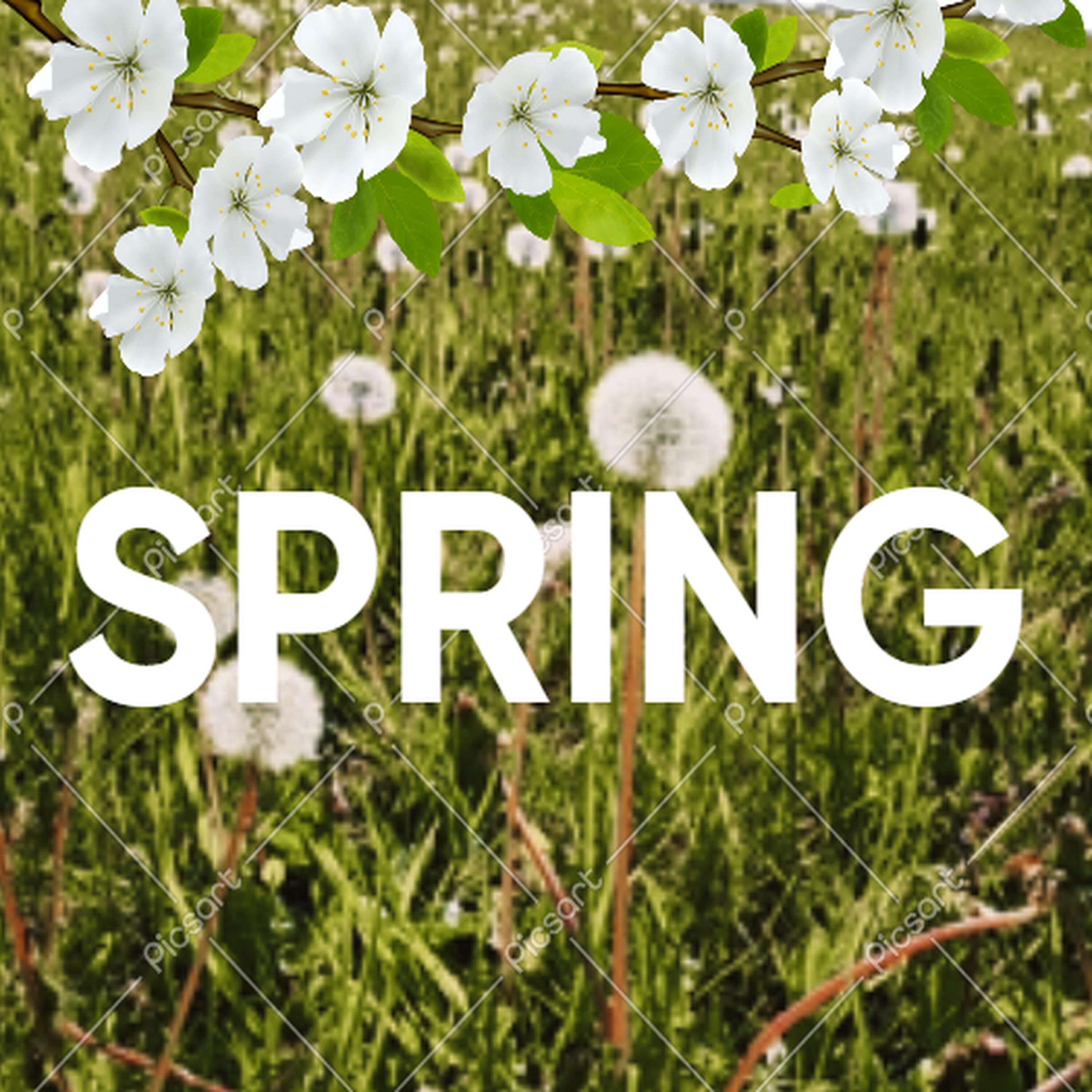Релиз Spring