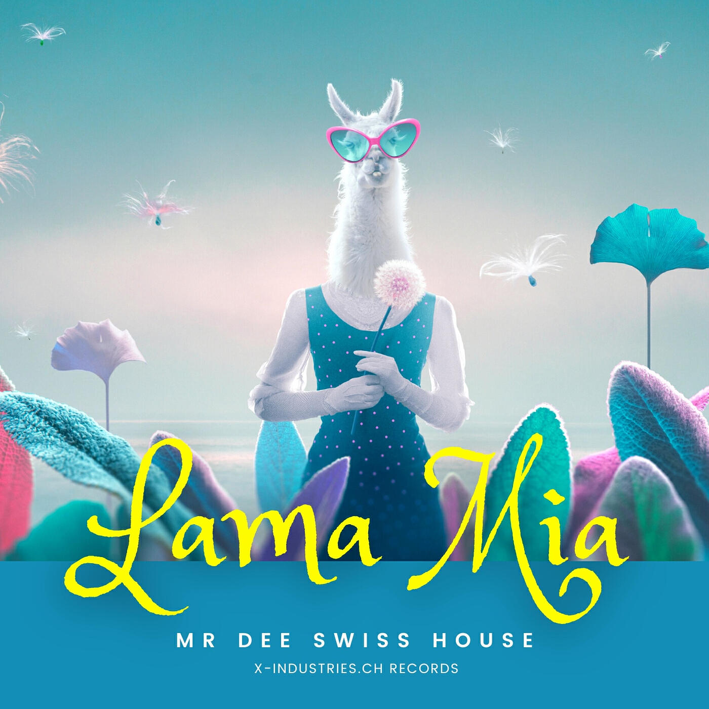 Постер альбома Lama Mia