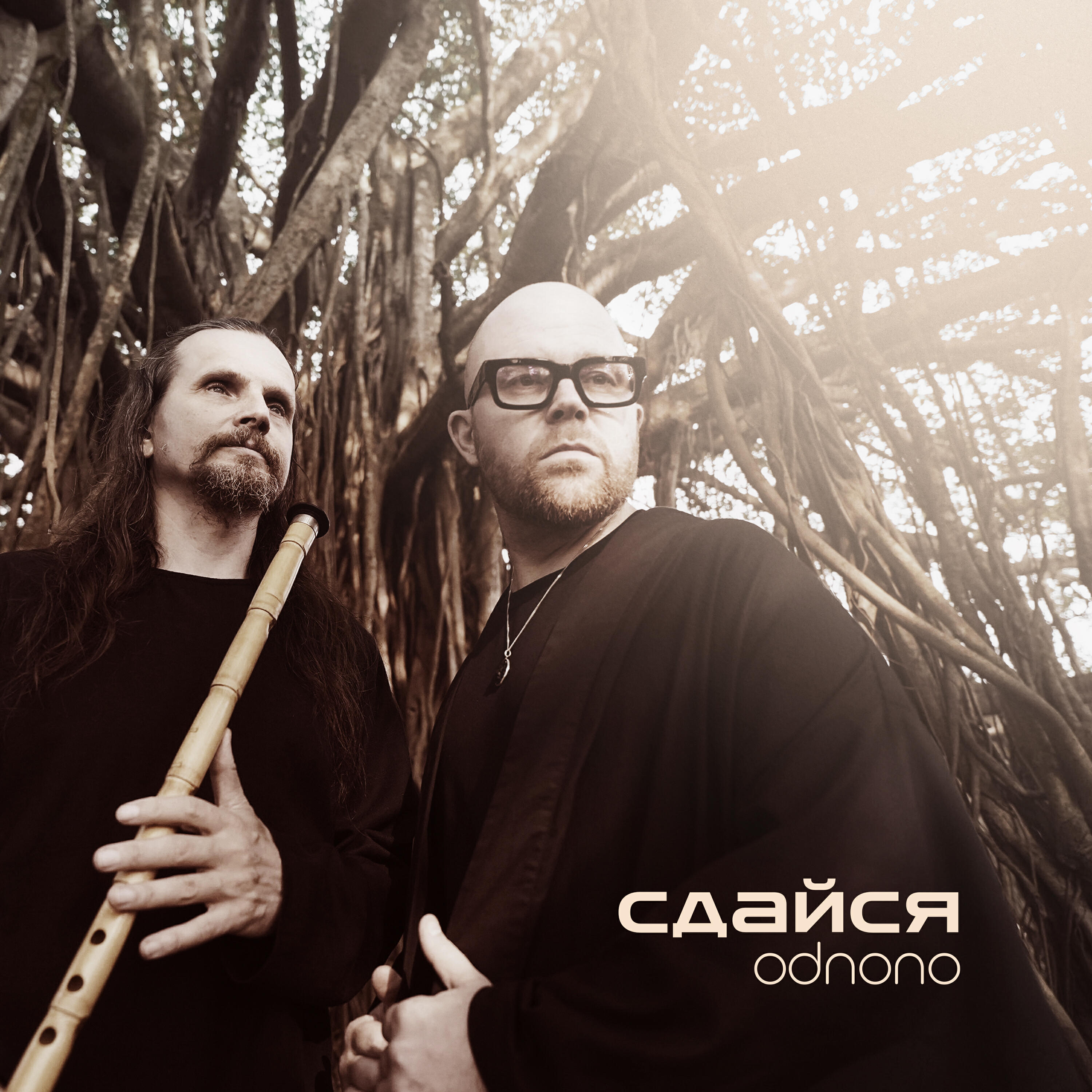 Релиз Сдайся