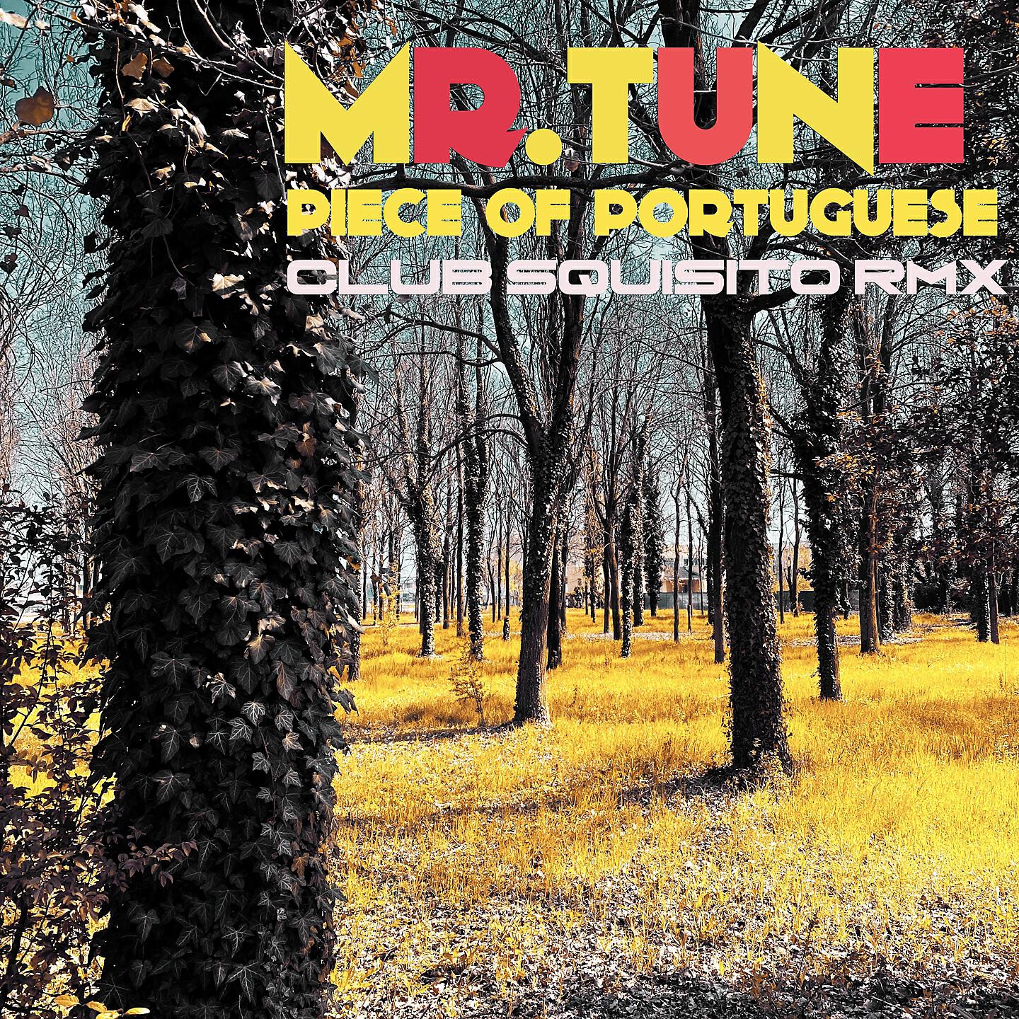 Релиз Piece of Portuguese