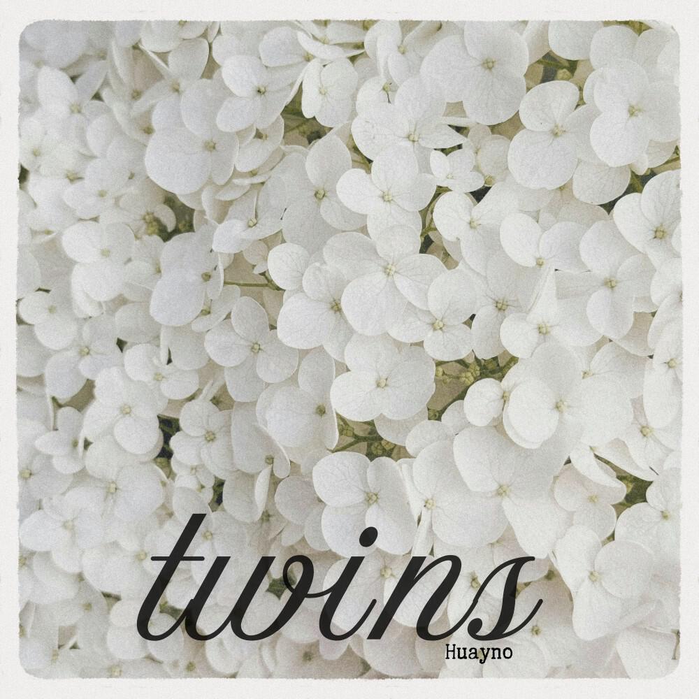 Релиз Twins