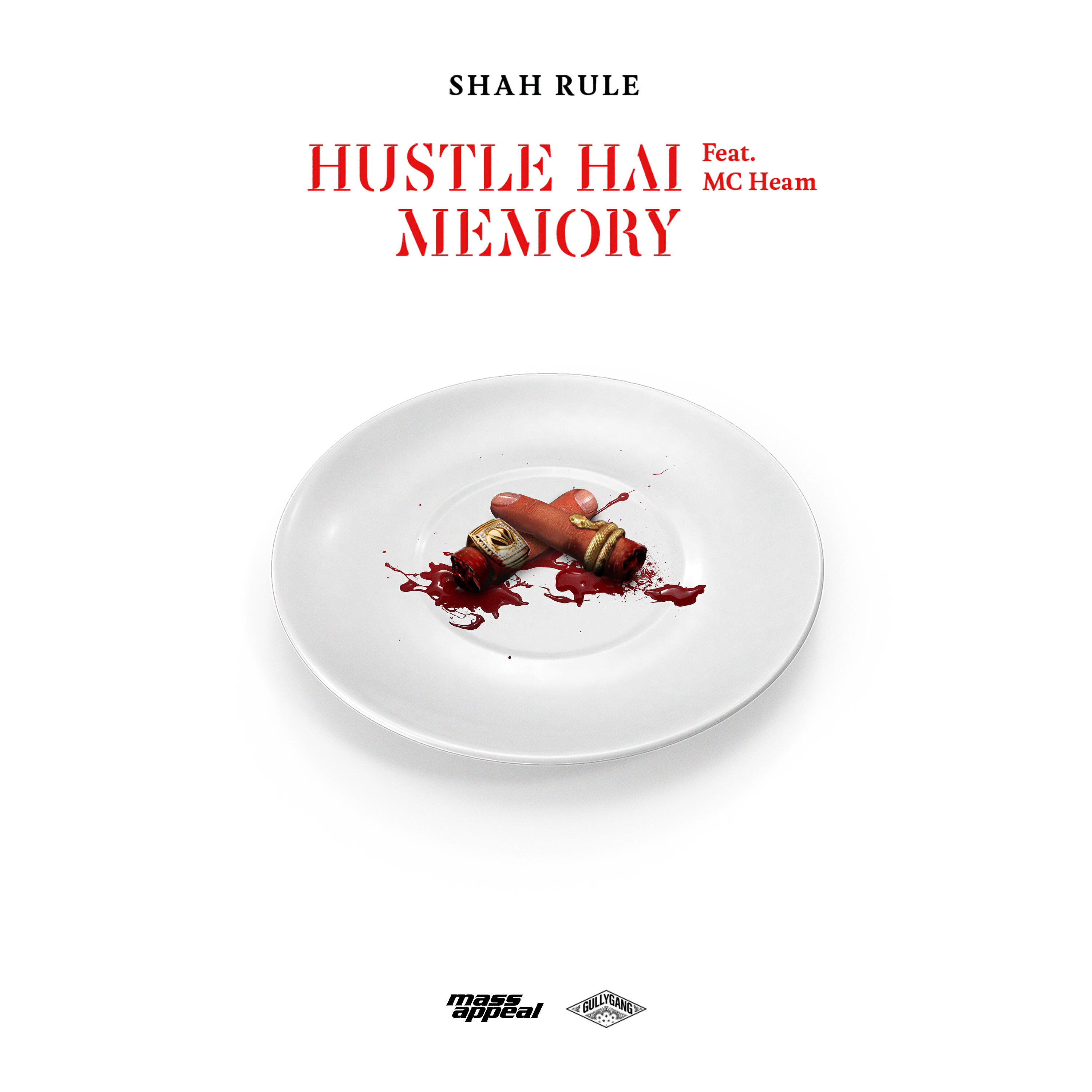 Релиз Hustle Hai / Memory