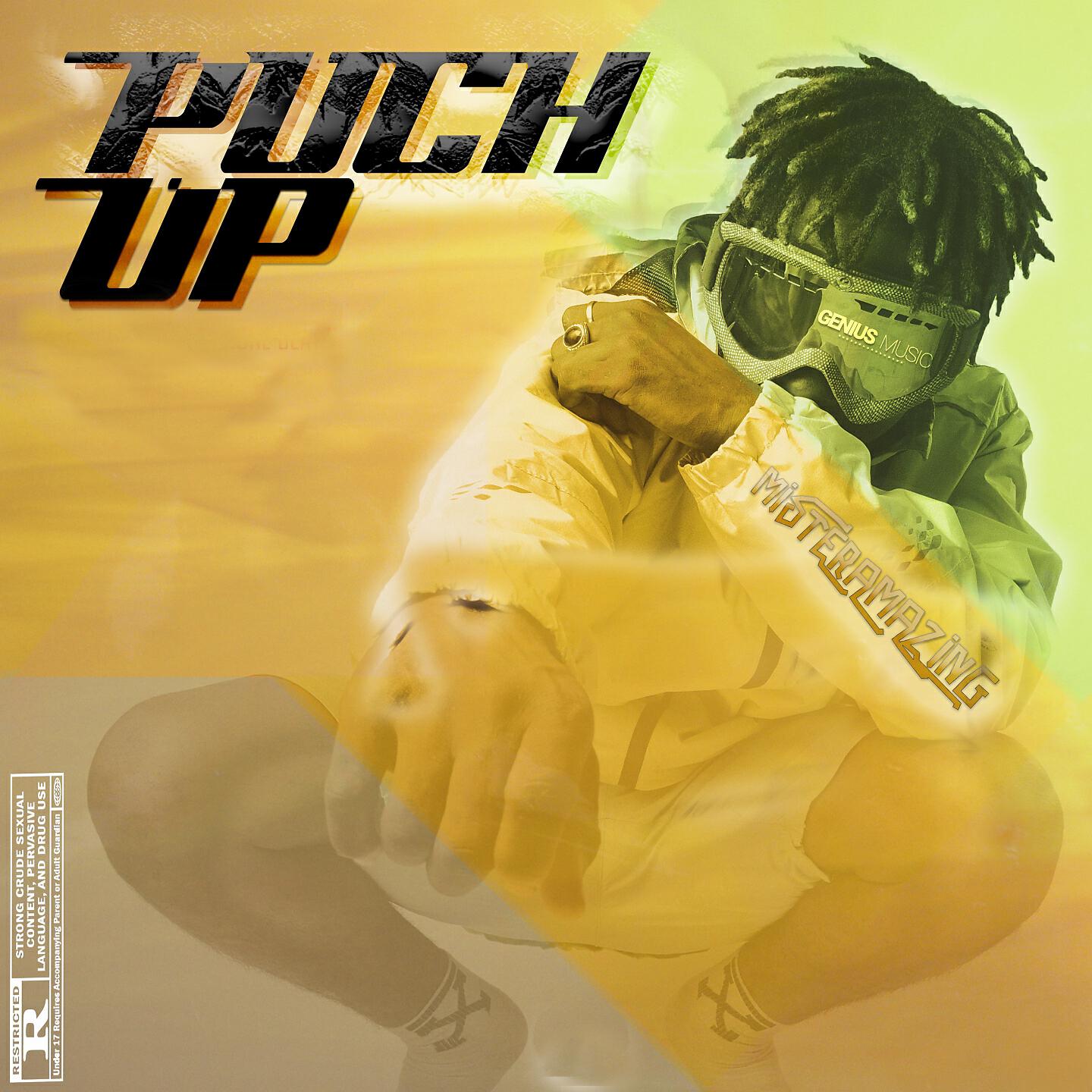 Релиз Puch up