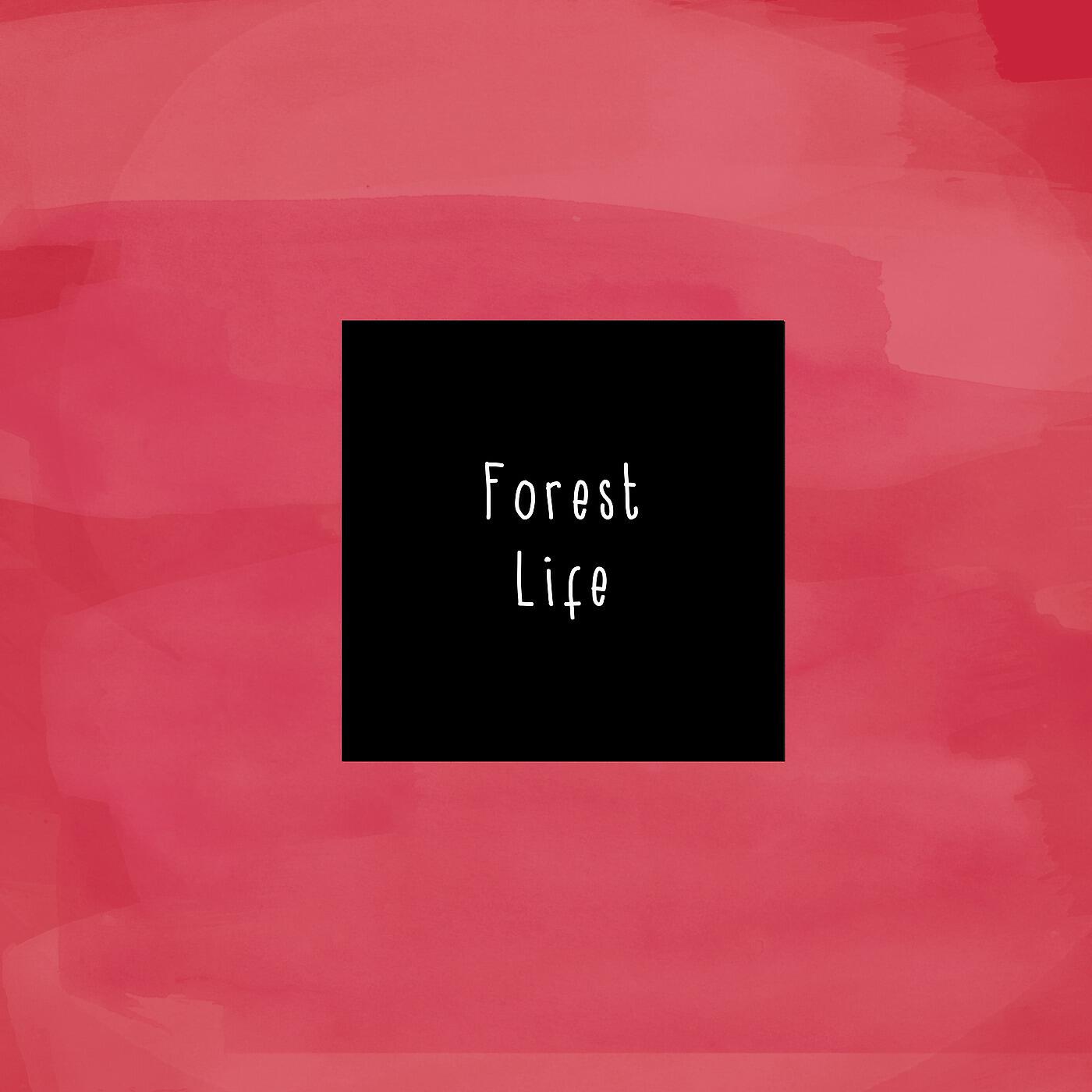 Релиз Forest Life