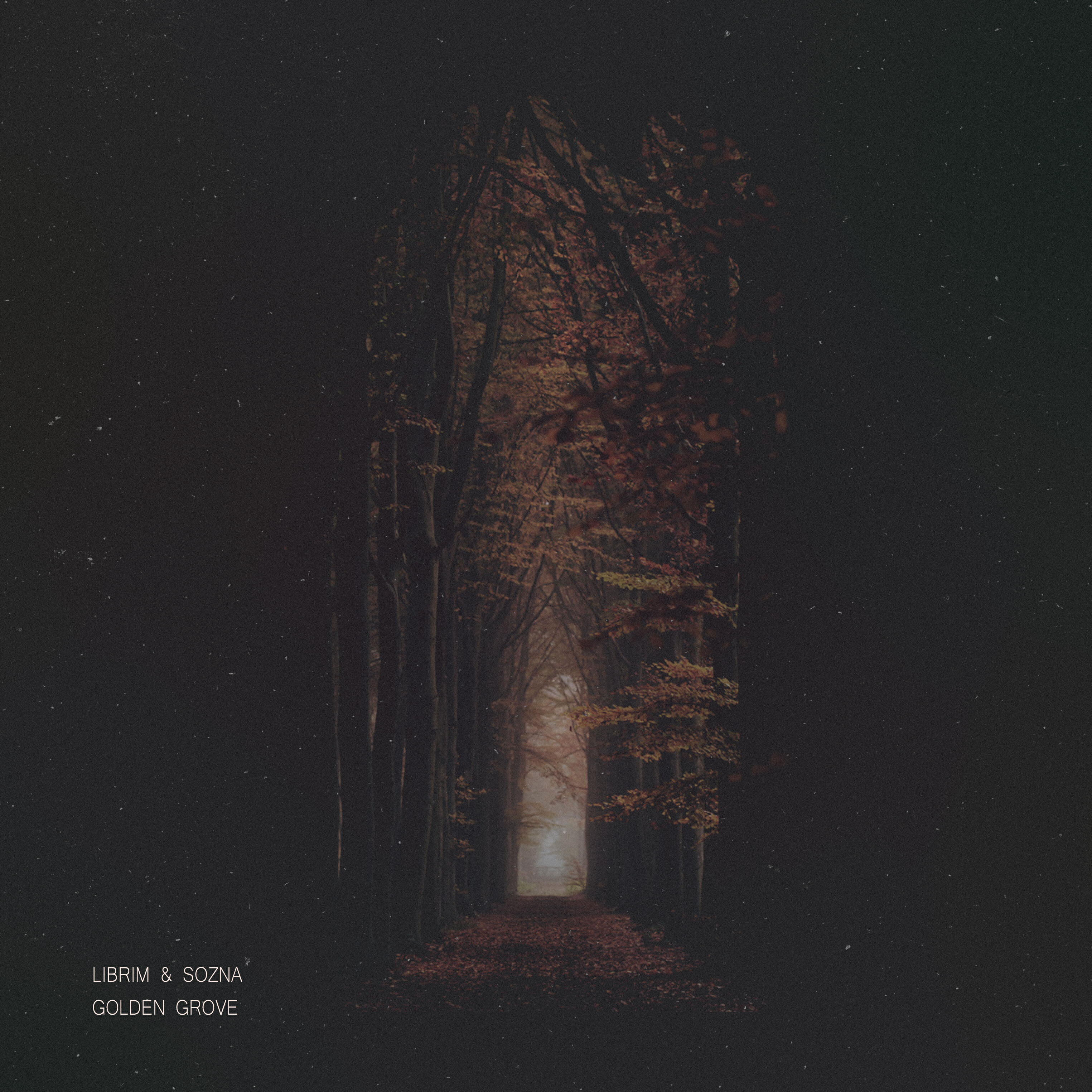Релиз Golden Grove