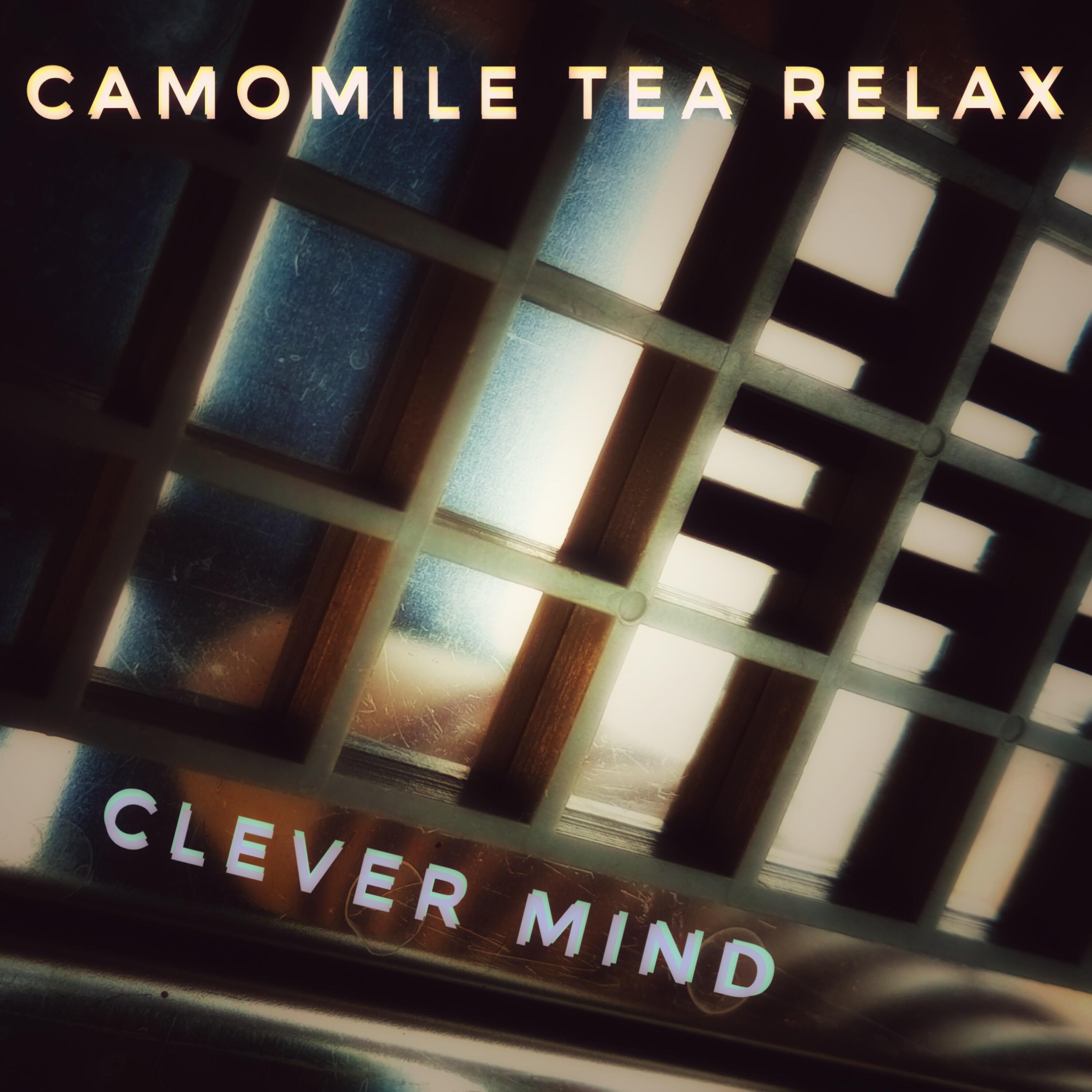 Релиз Clever Mind