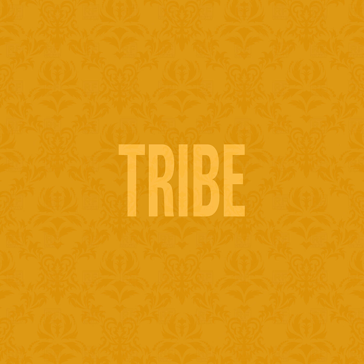 Постер альбома Tribe