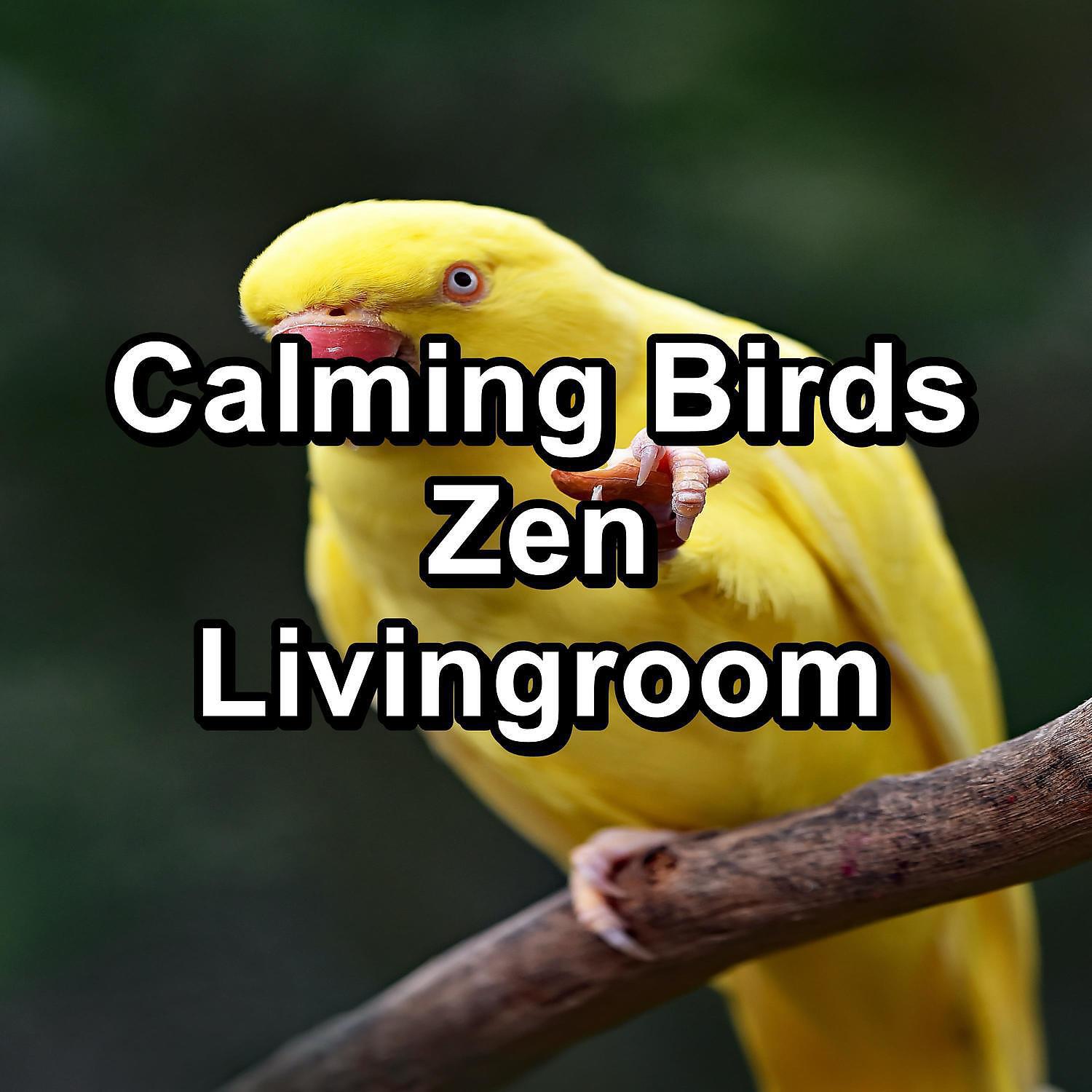 Релиз Calming Birds Zen Livingroom