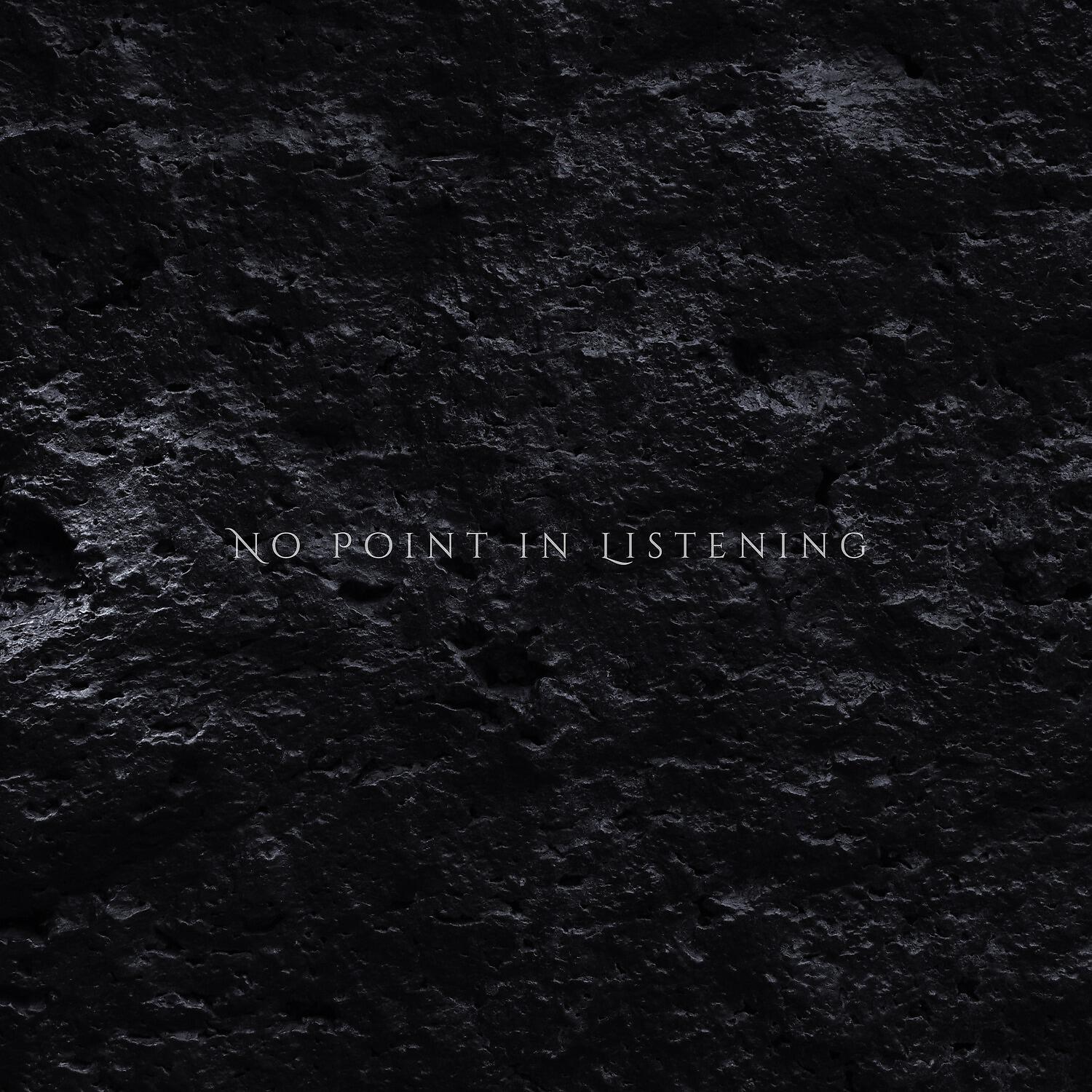 Постер альбома No Point in Listening