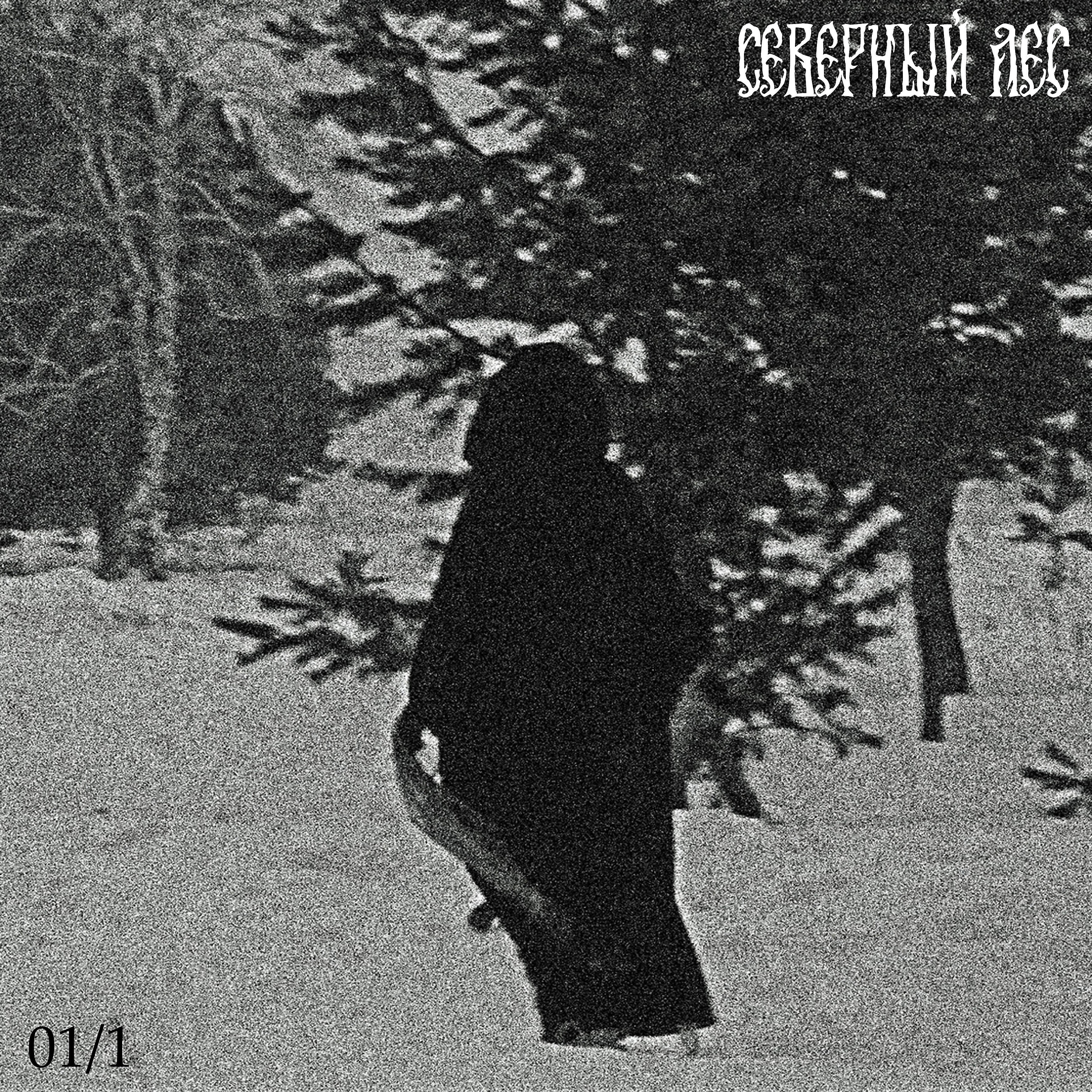 Релиз 01.1