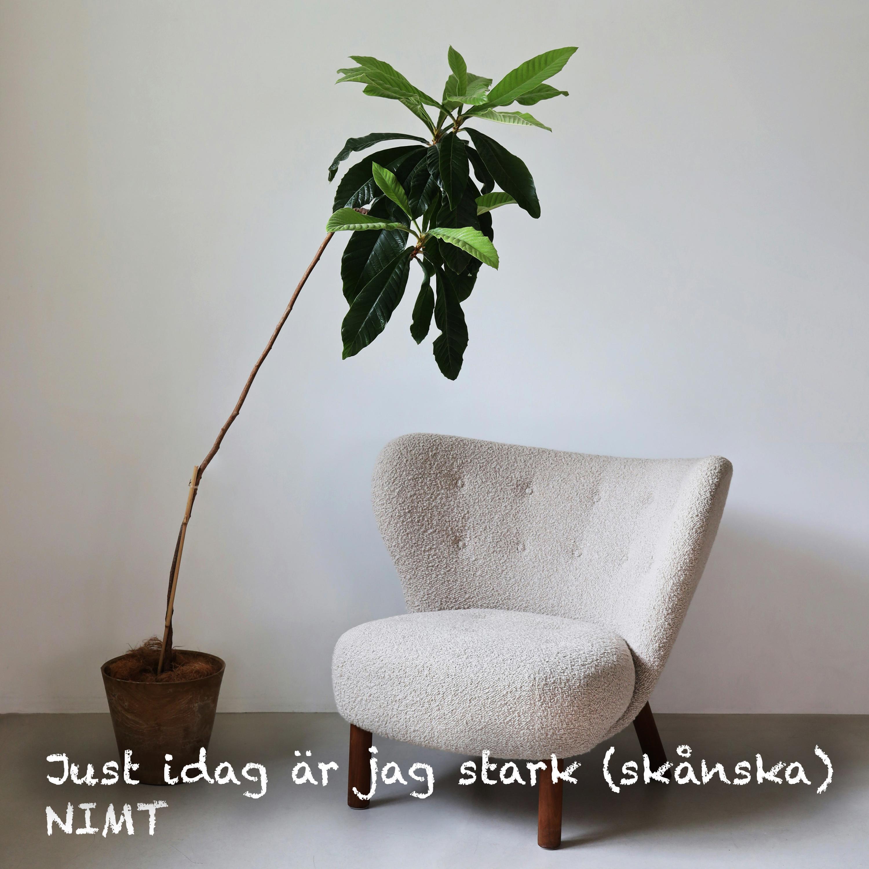 Релиз Just idag är jag stark (skånska)