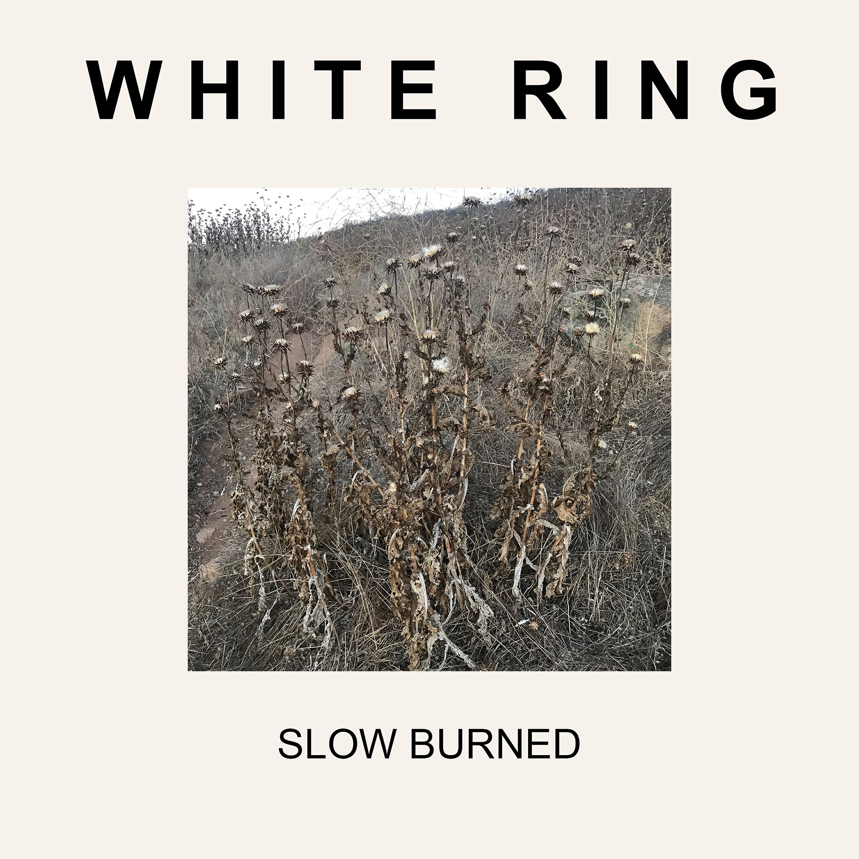 Постер альбома Slow Burned