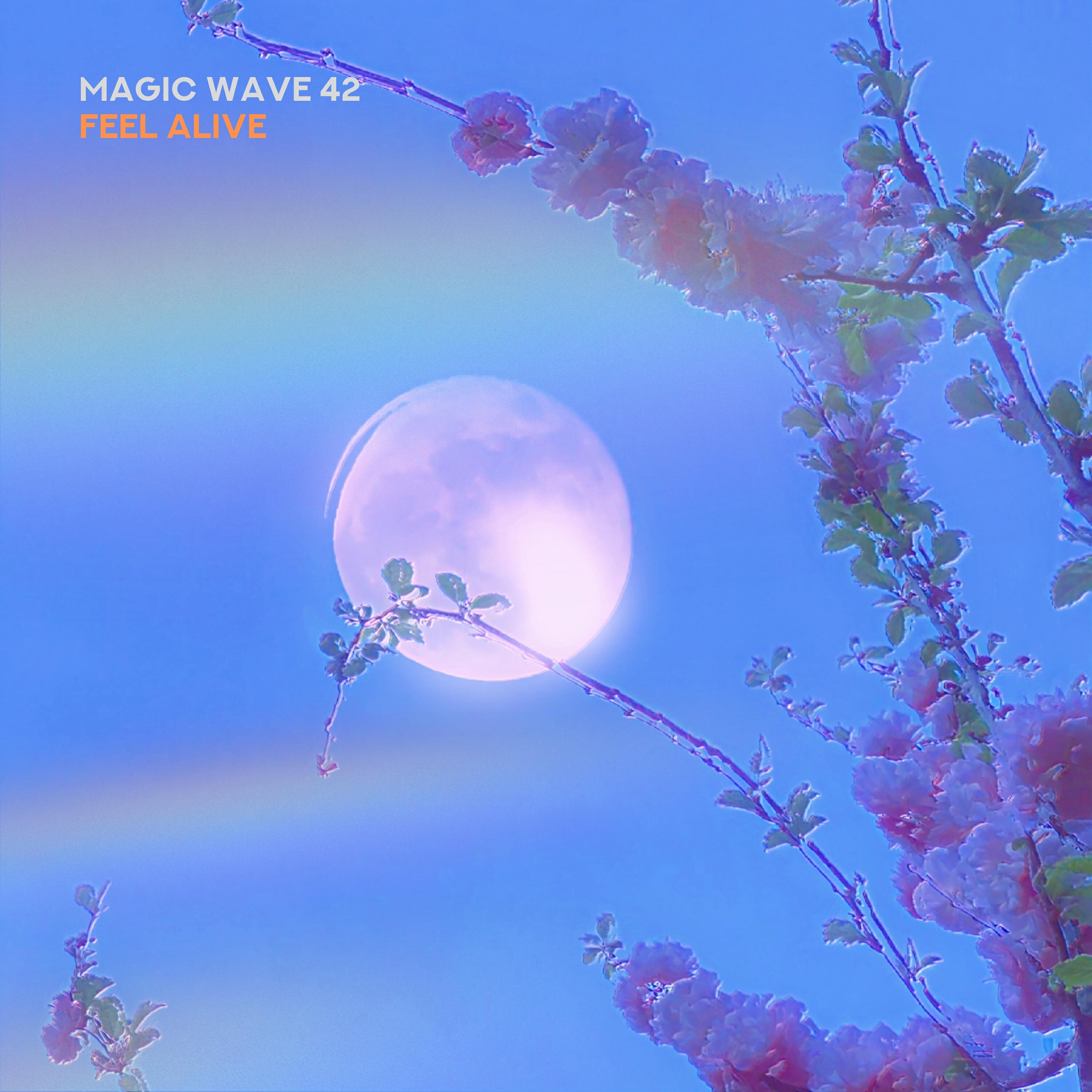 Magic Wave 42