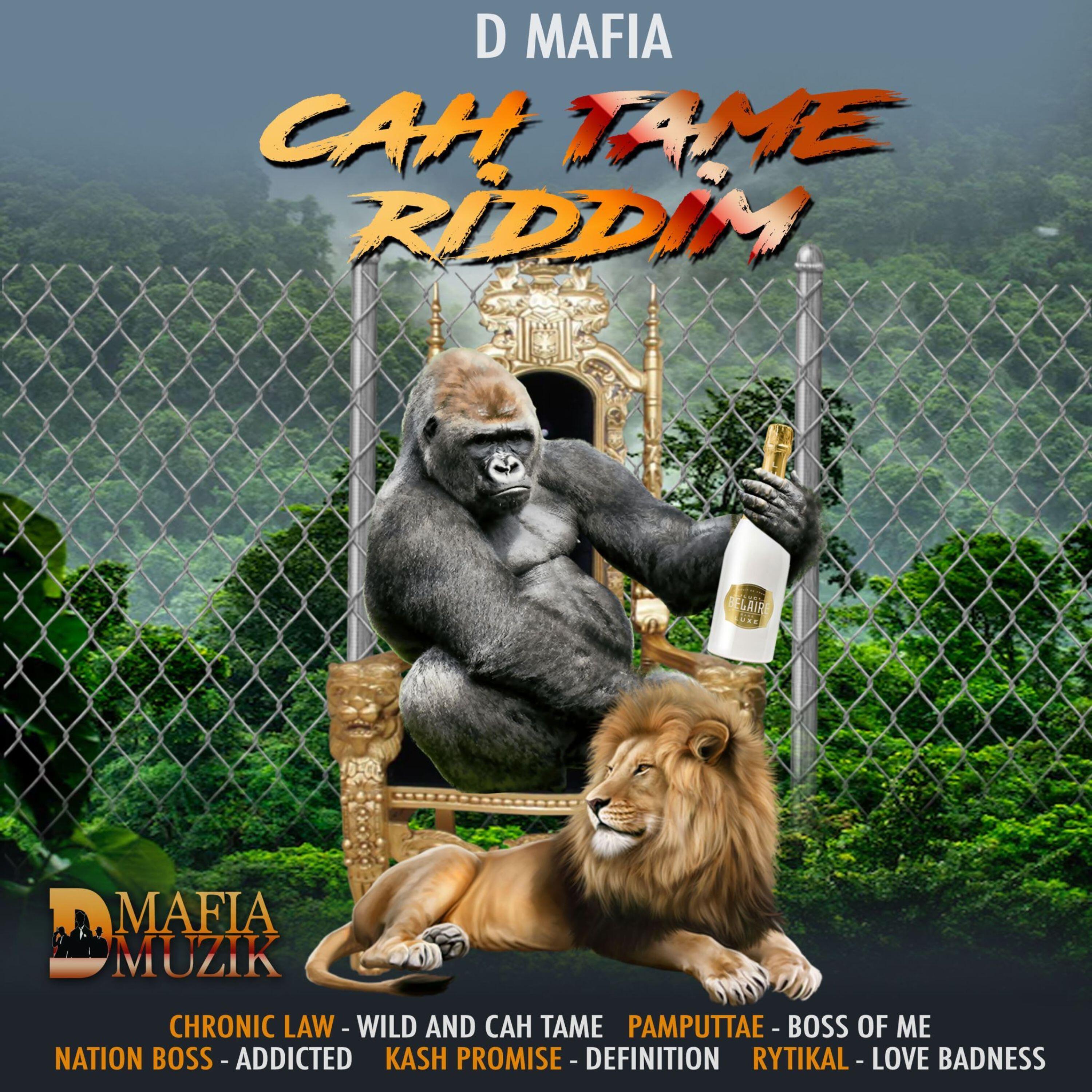Релиз Cah Tame Riddim