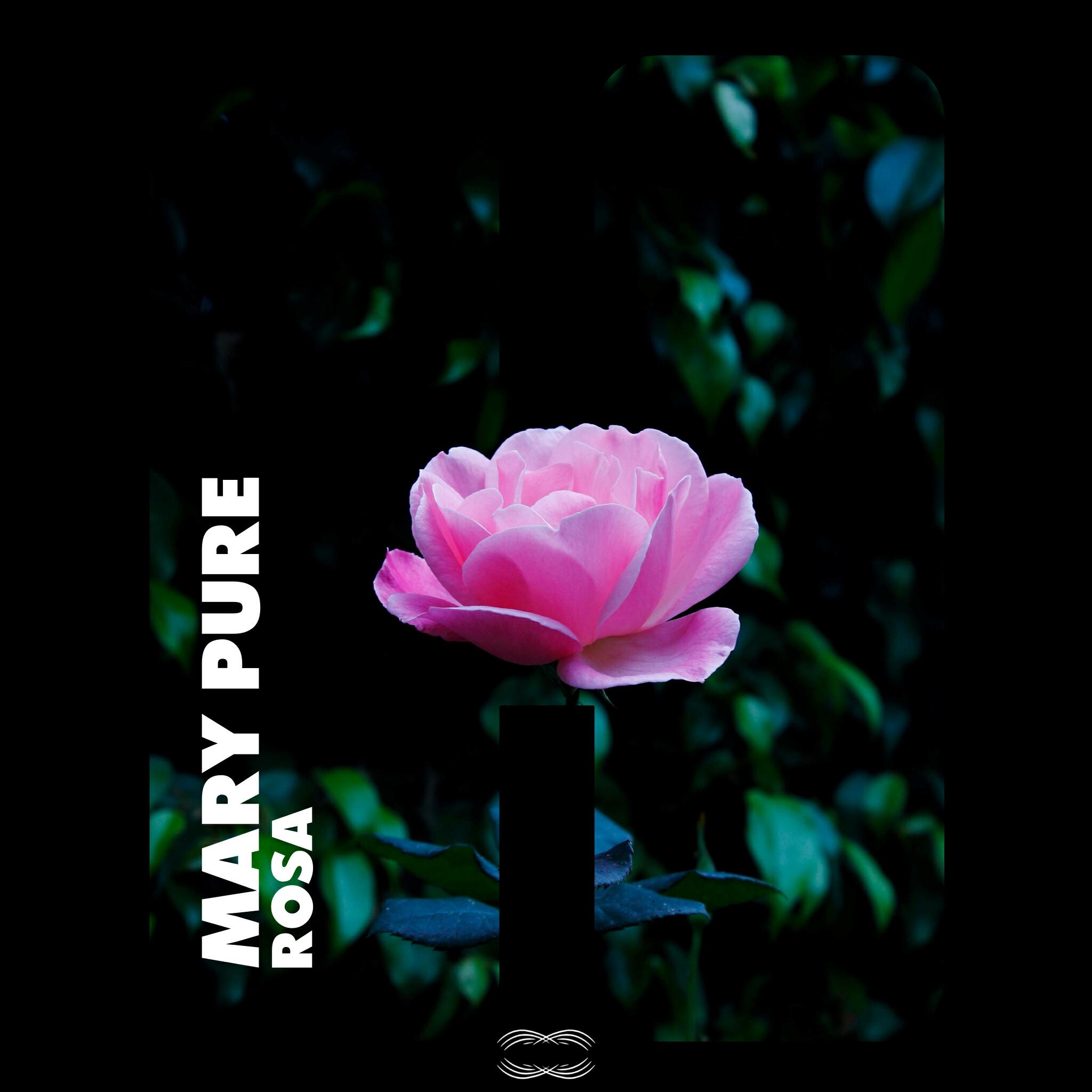 Релиз Rosa