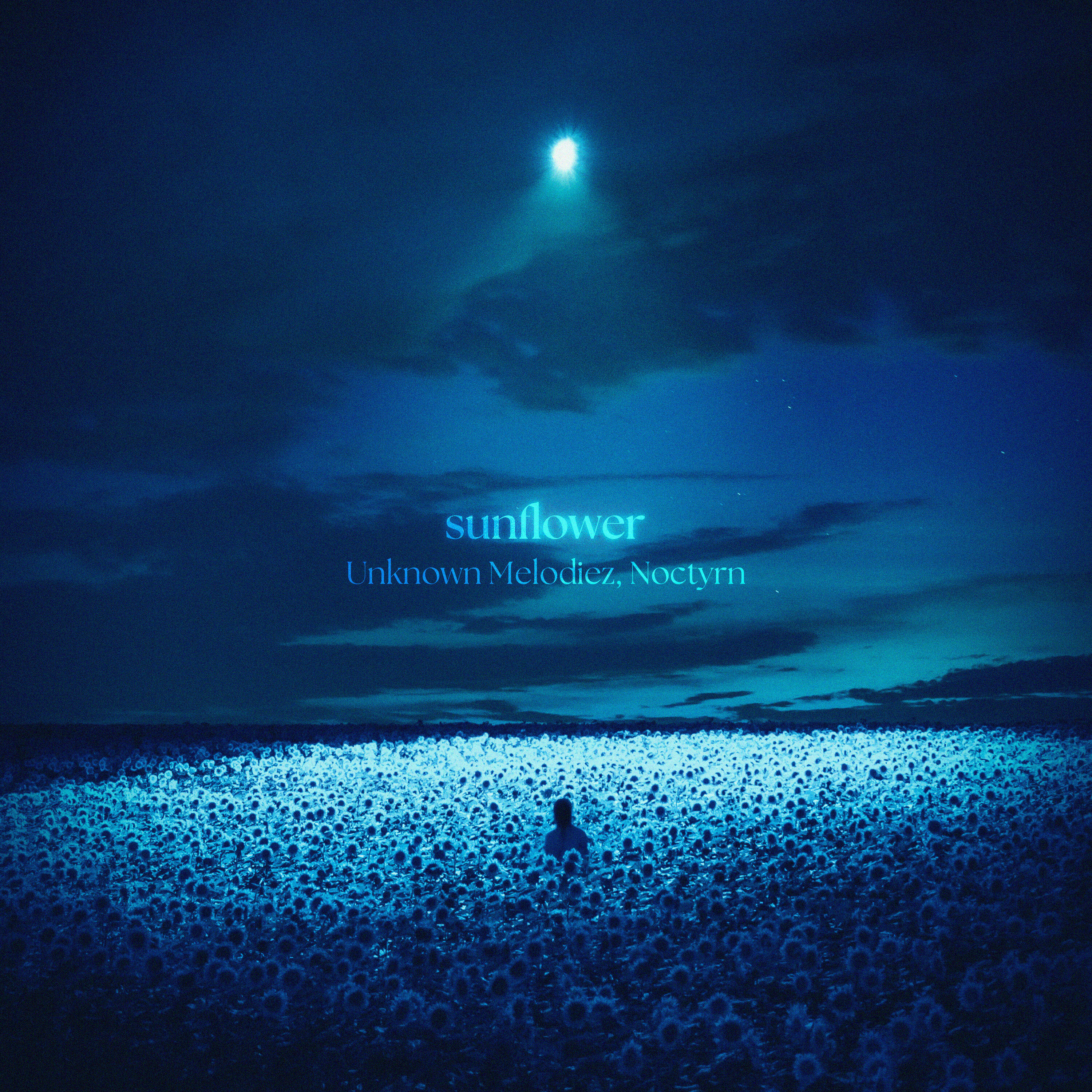 Релиз sunflower