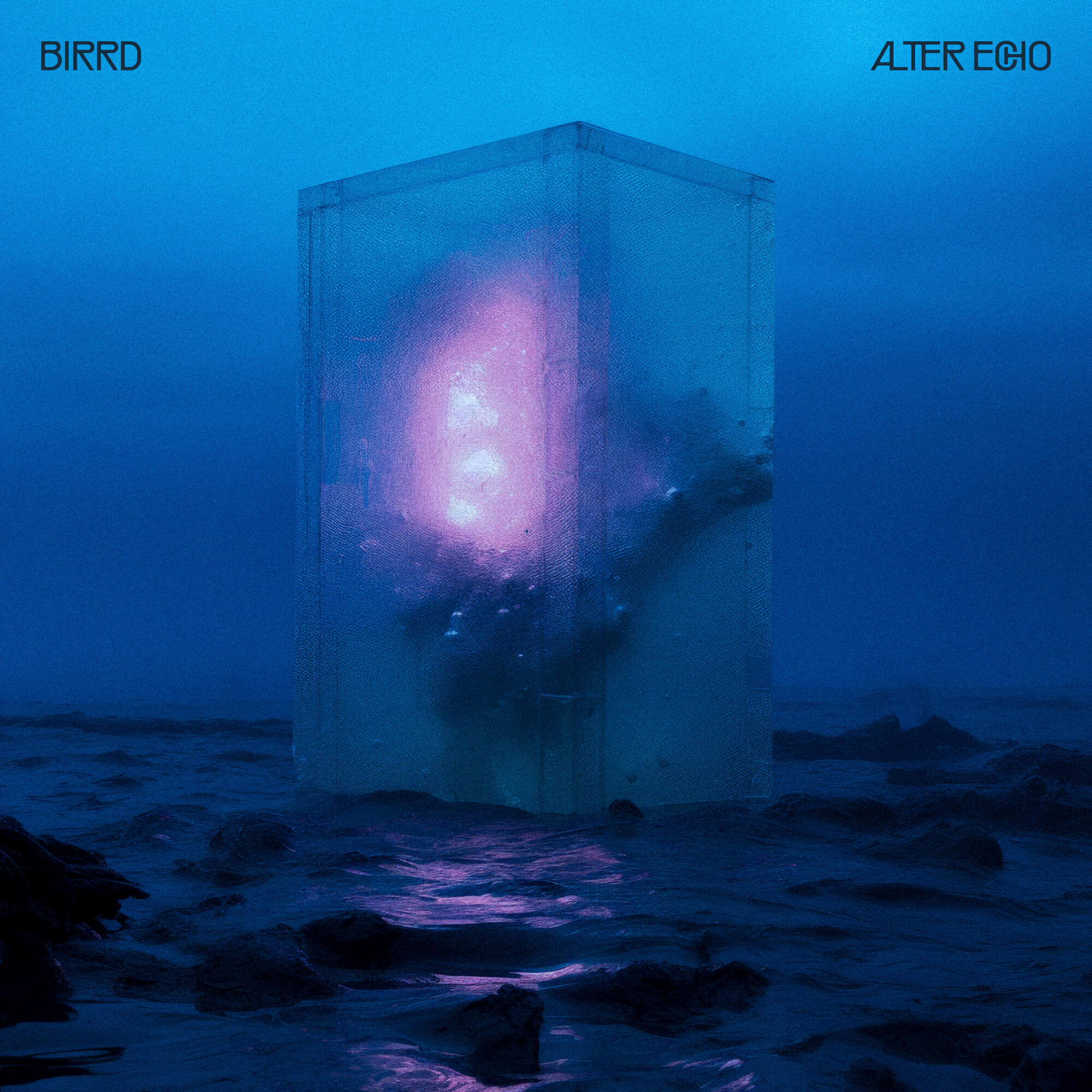 Релиз Alter Echo