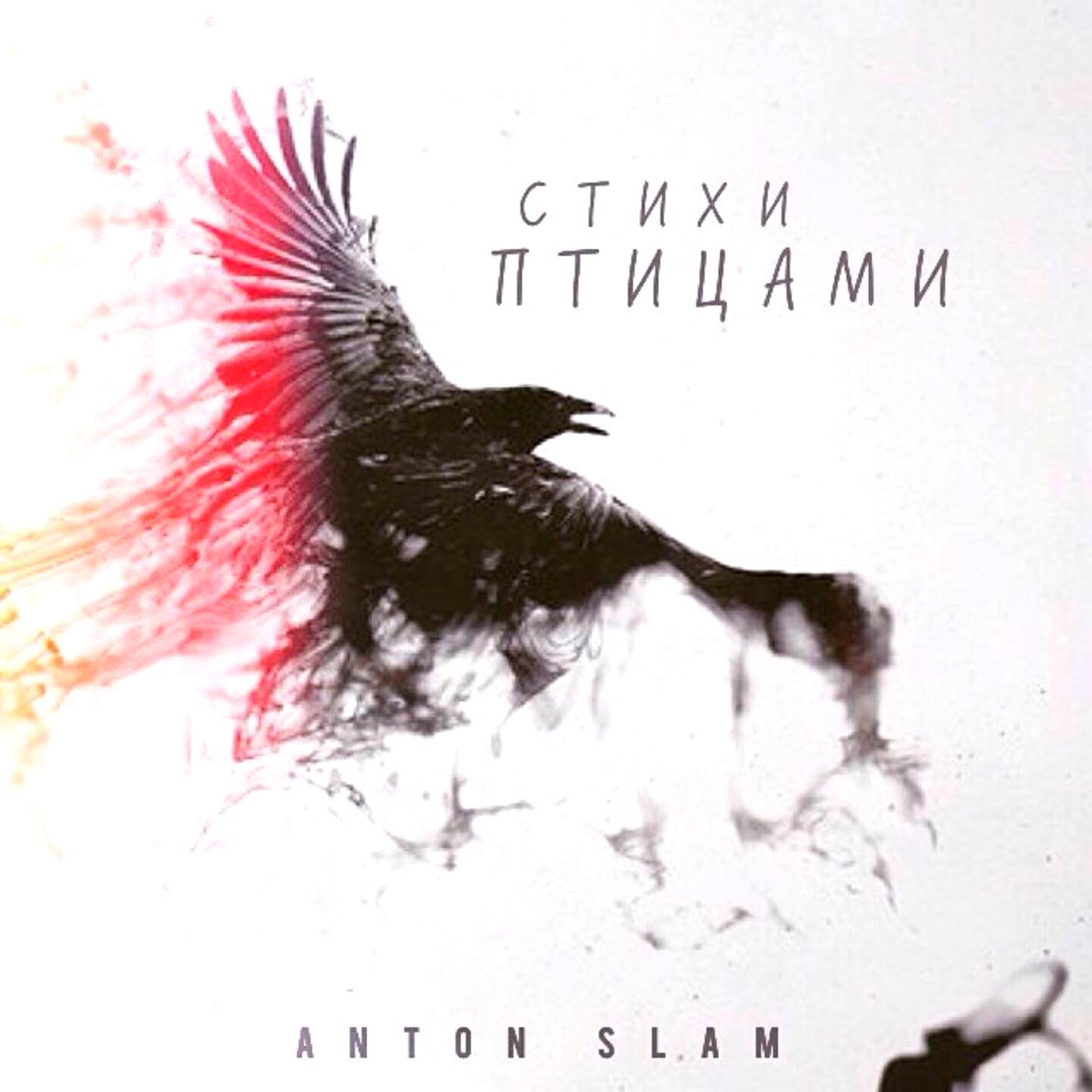 Релиз Стихи Птицами