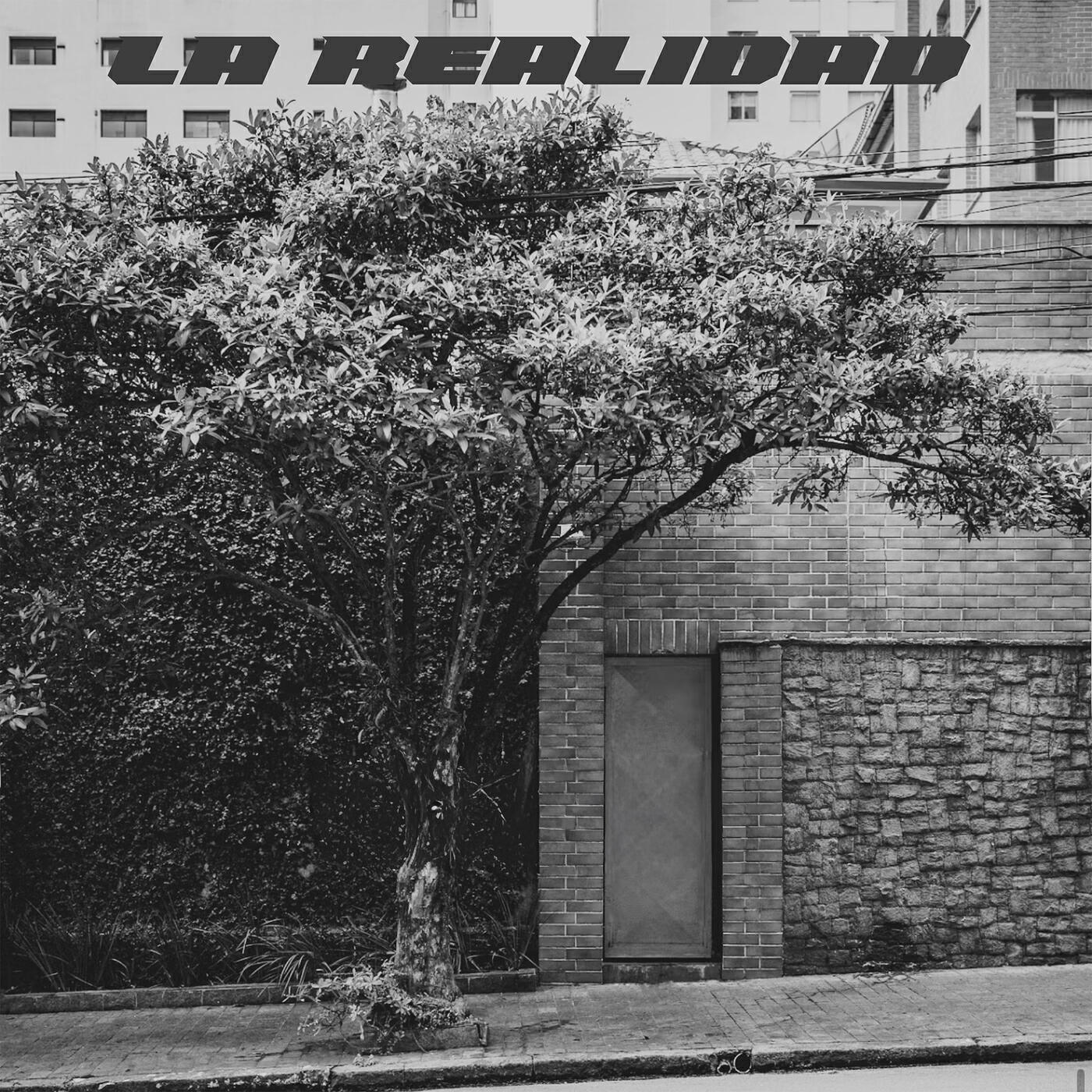 Релиз La Realidad