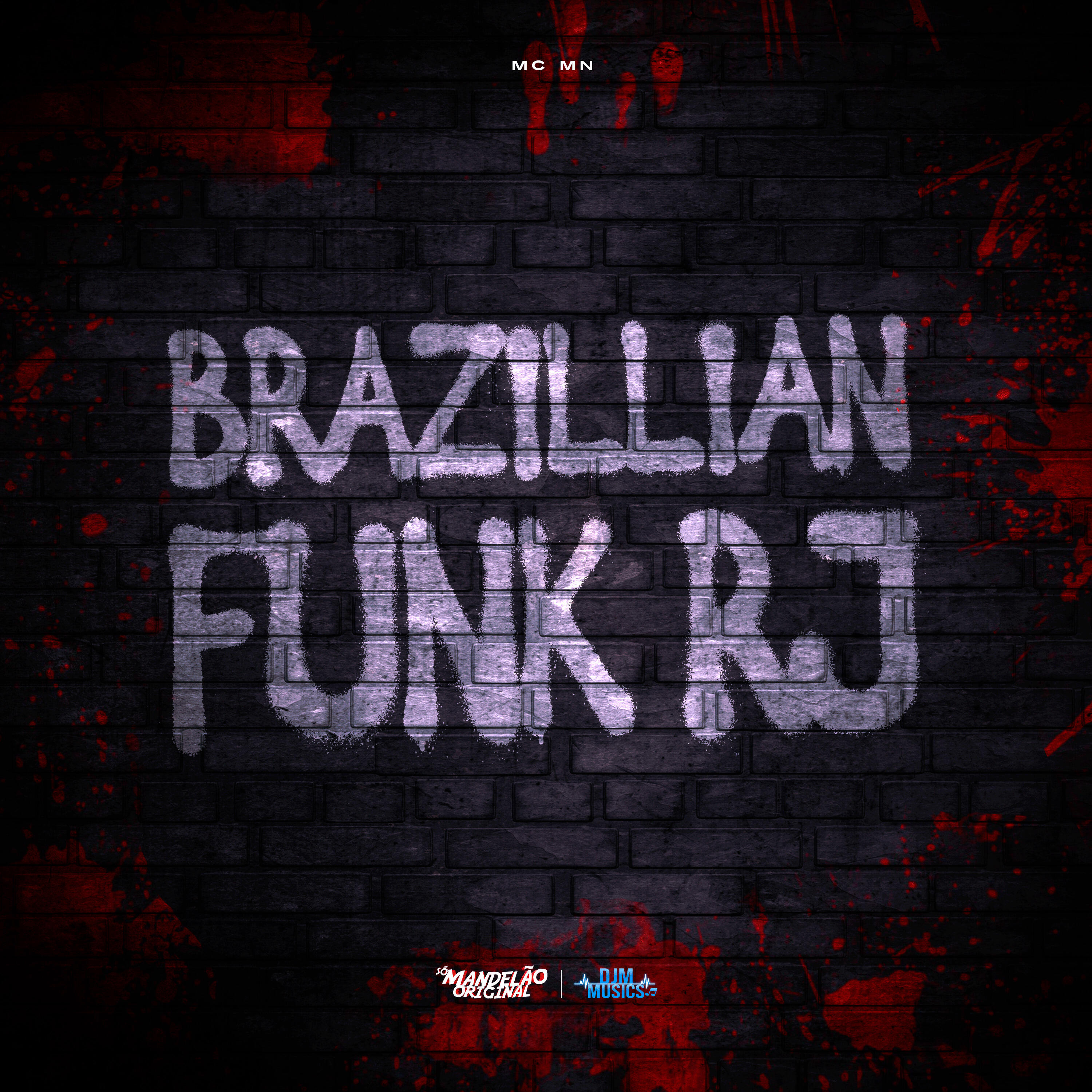 Постер альбома Brazillian Funk Rj