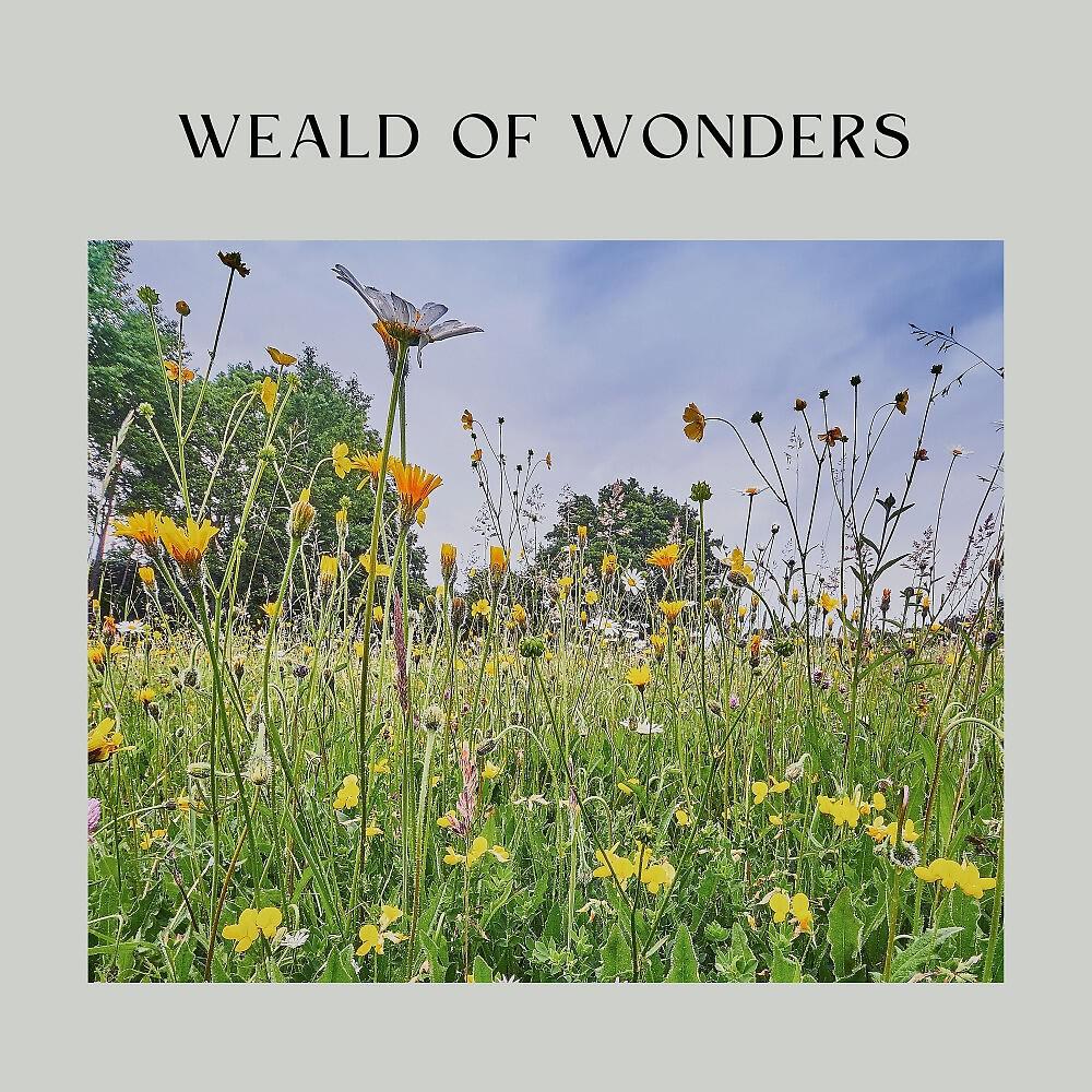 Релиз Weald of Wonders