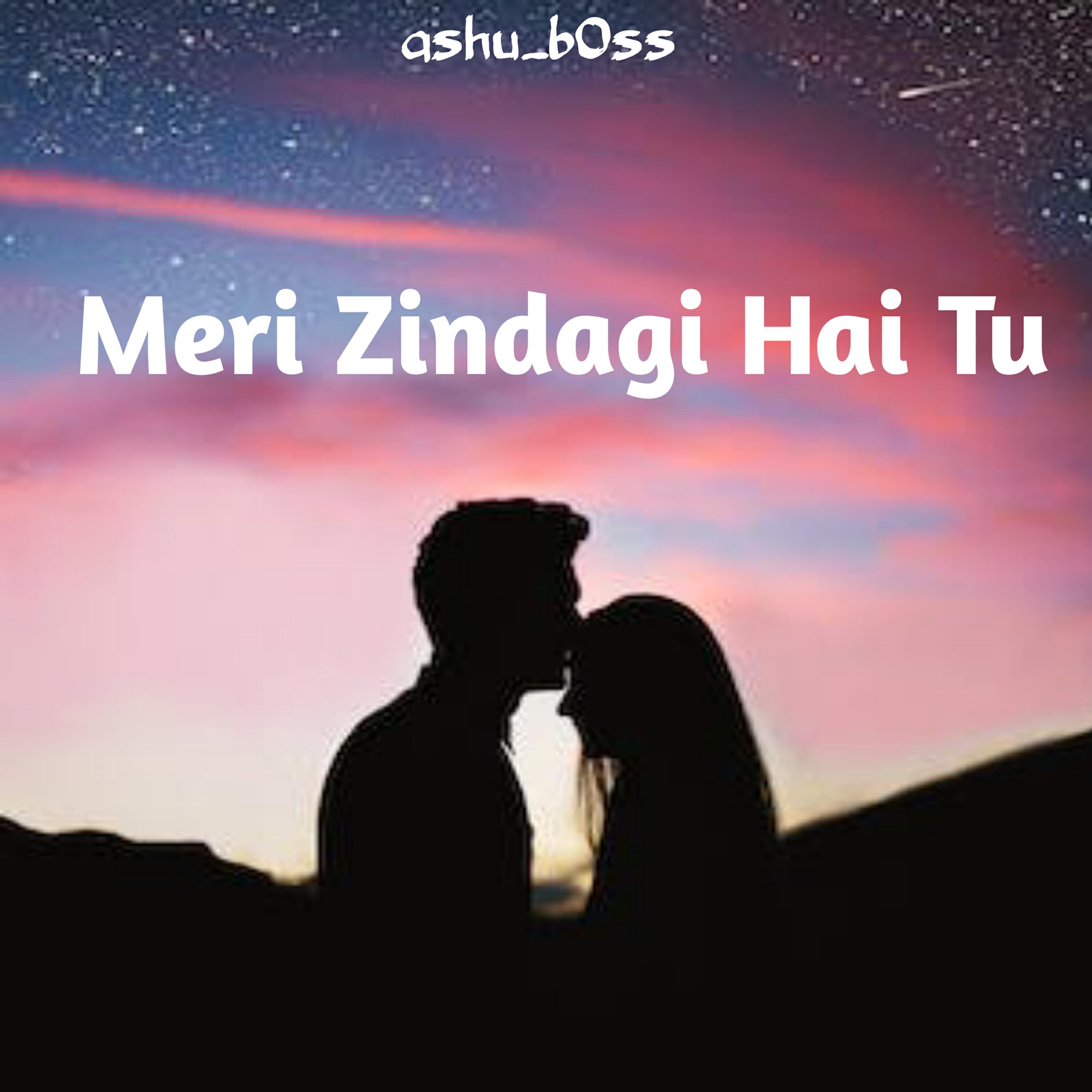 Релиз Meri Zindagi Hai Tu