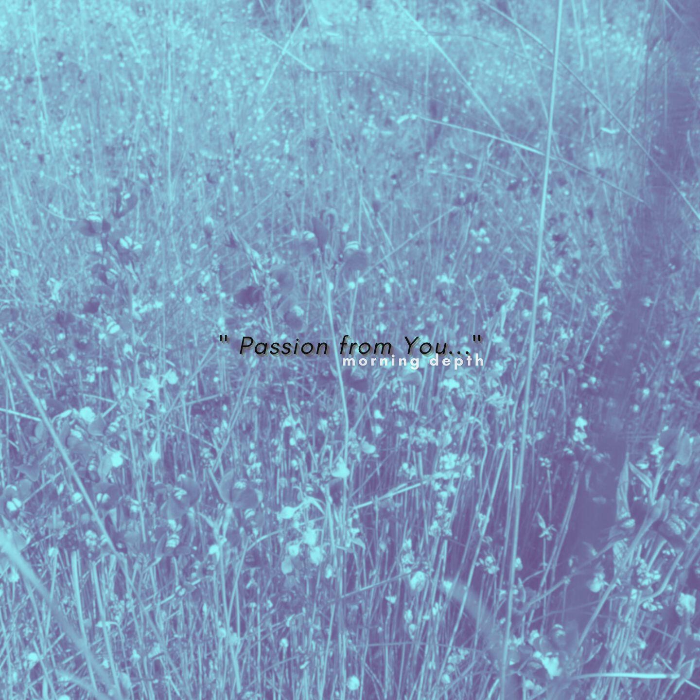 Релиз Passion from You