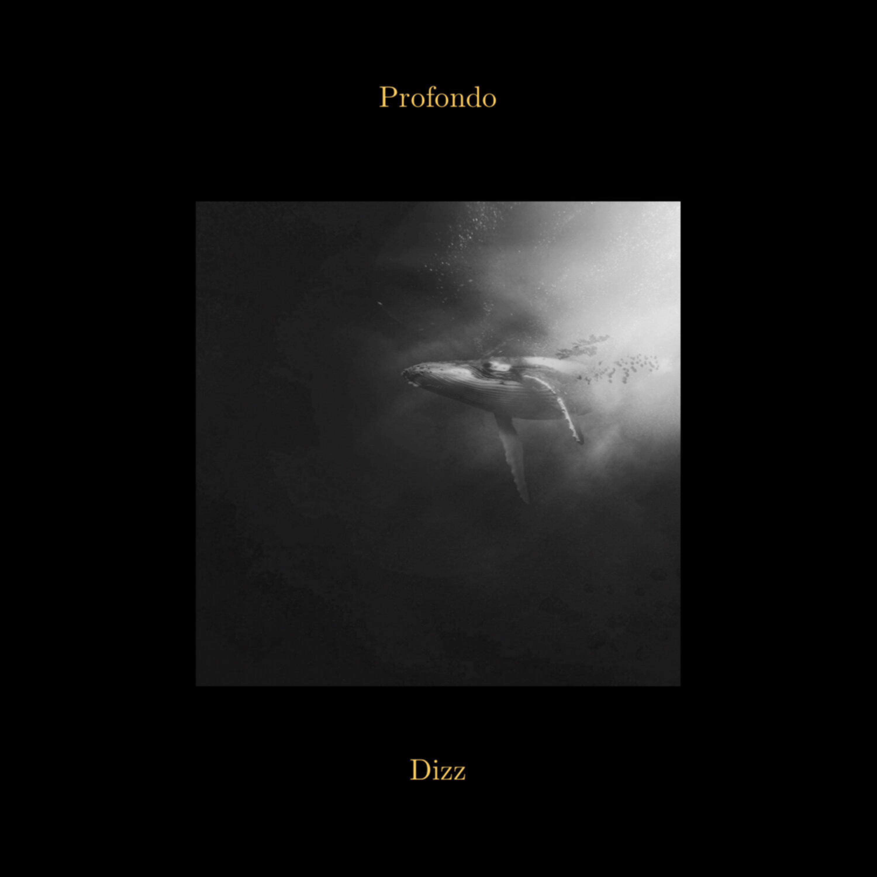 Скачать песню Dizz - Profondo бесплатно в MP3 для Android и iOS