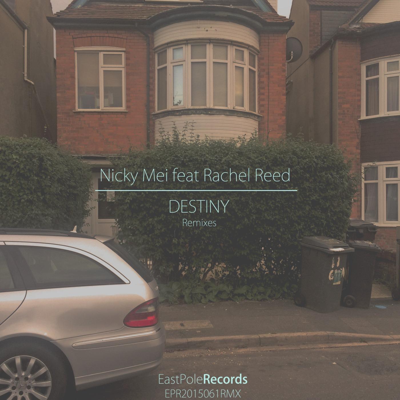 Релиз Destiny - The Remixes (feat. Rachel Reed)