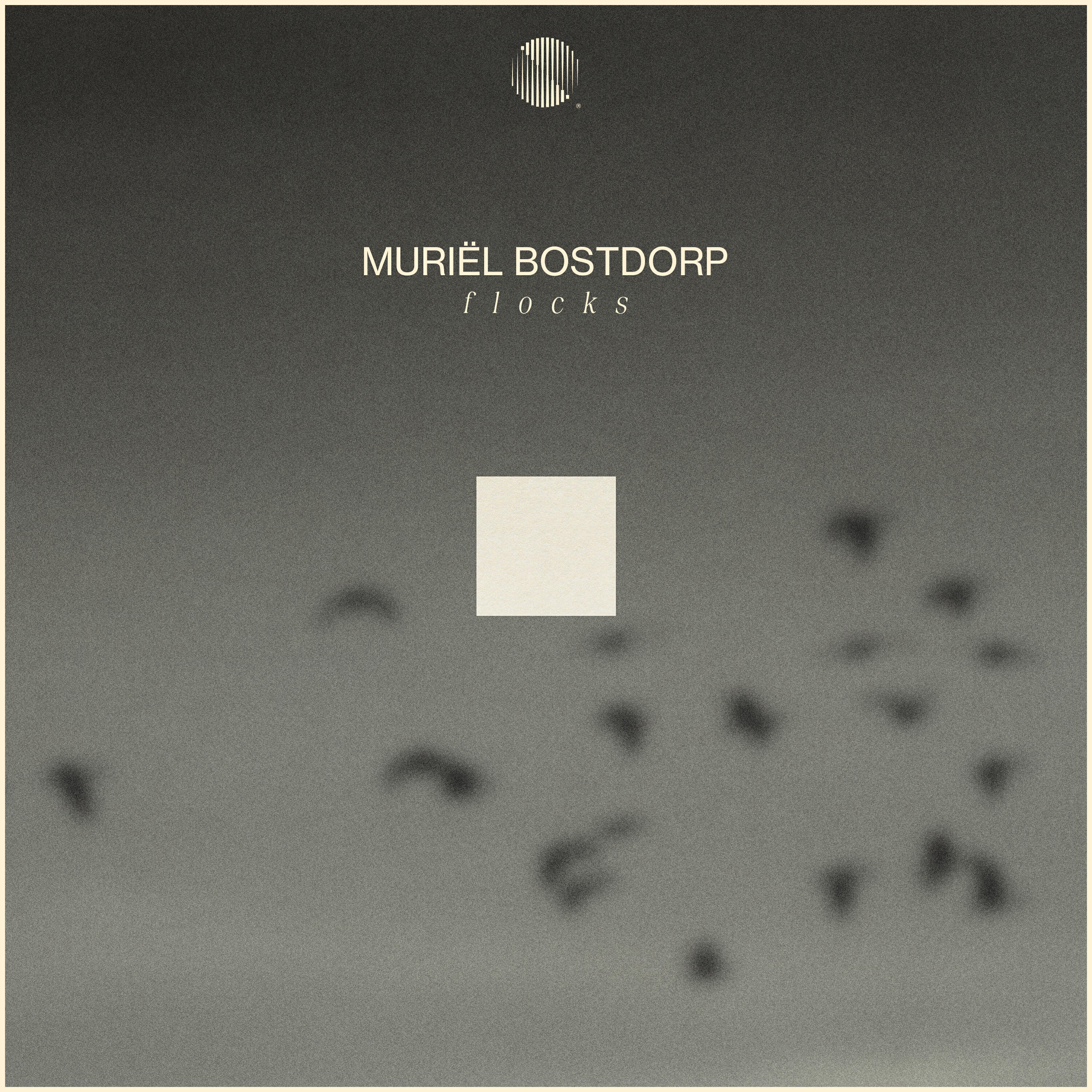 Релиз Flocks