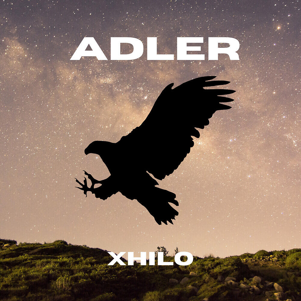 Релиз Adler