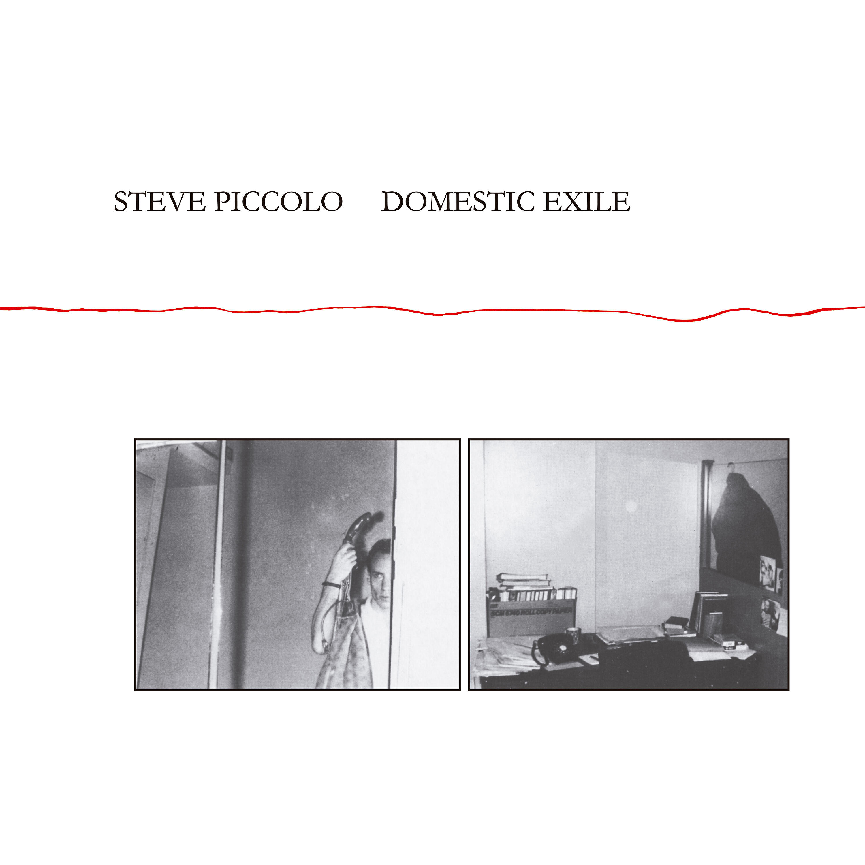 Постер альбома Domestic Exile