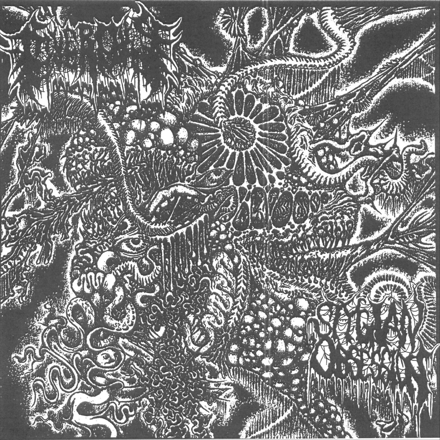 Stygian Obsession