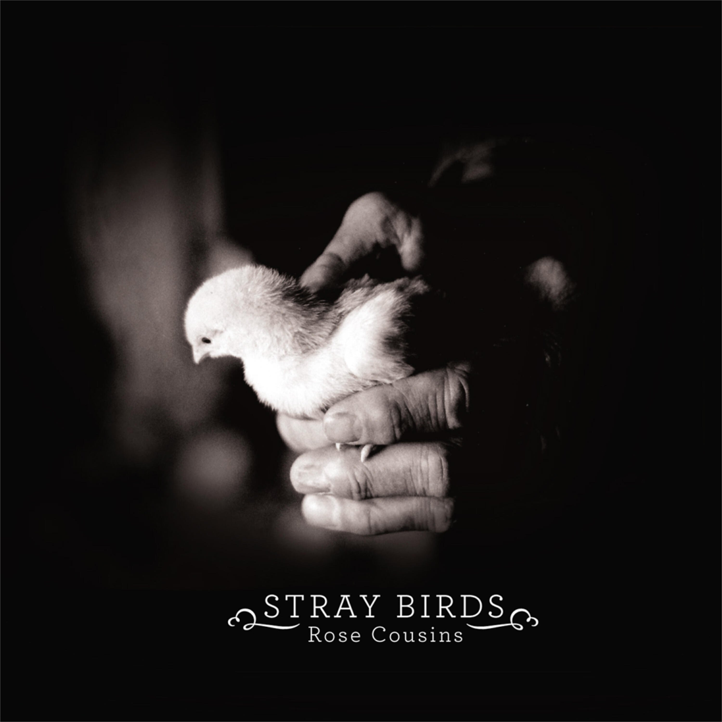 Релиз Stray Birds