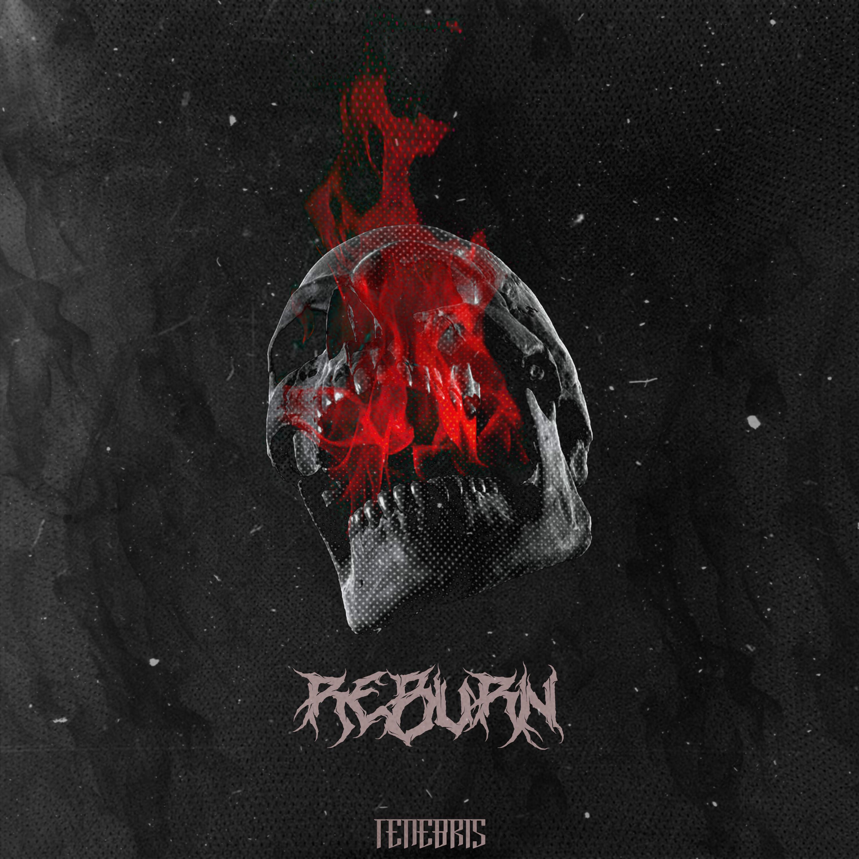 Релиз REBURN