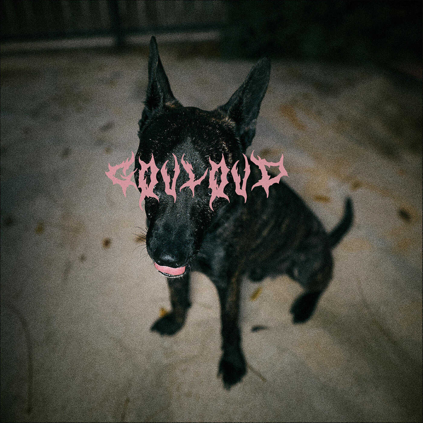 Релиз I Watched You Bleed