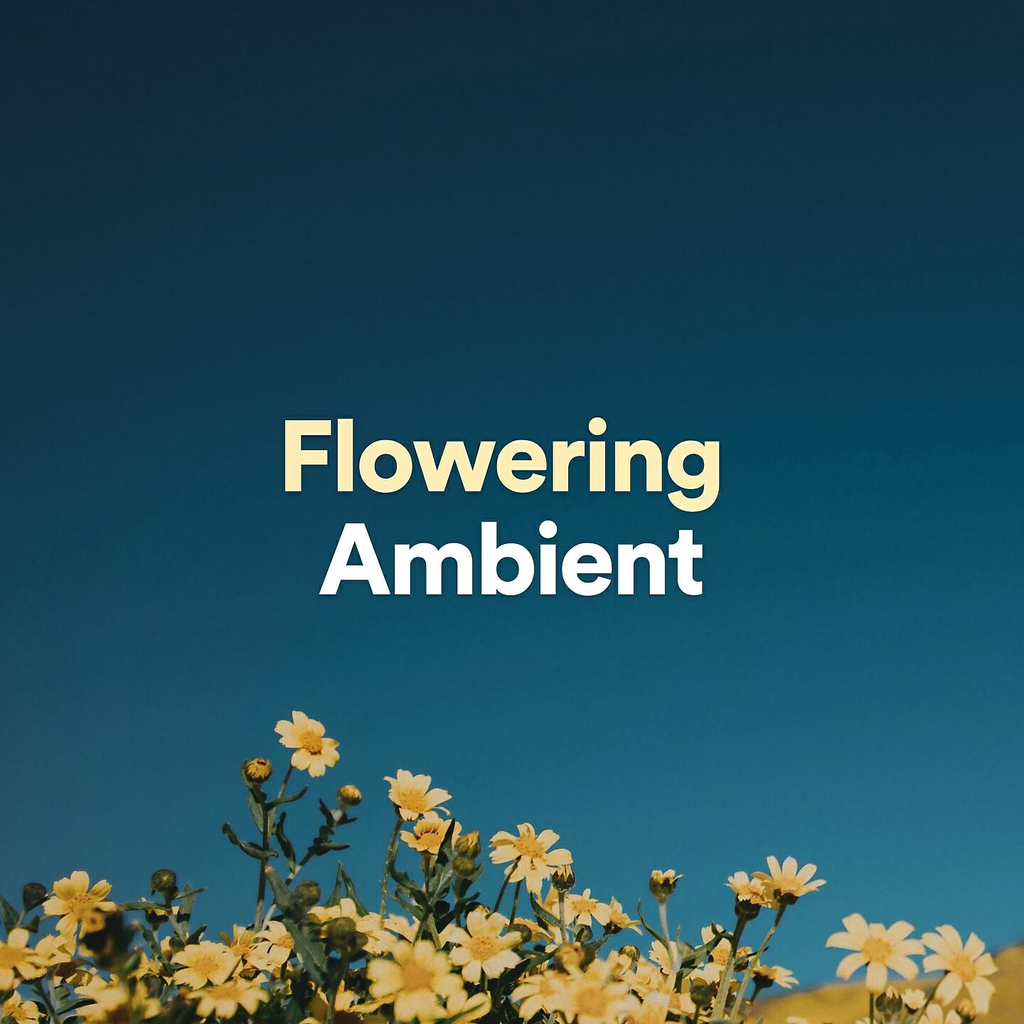 Релиз Flowering Ambient