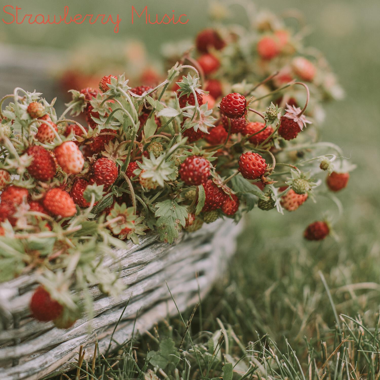 Релиз Strawberry Music