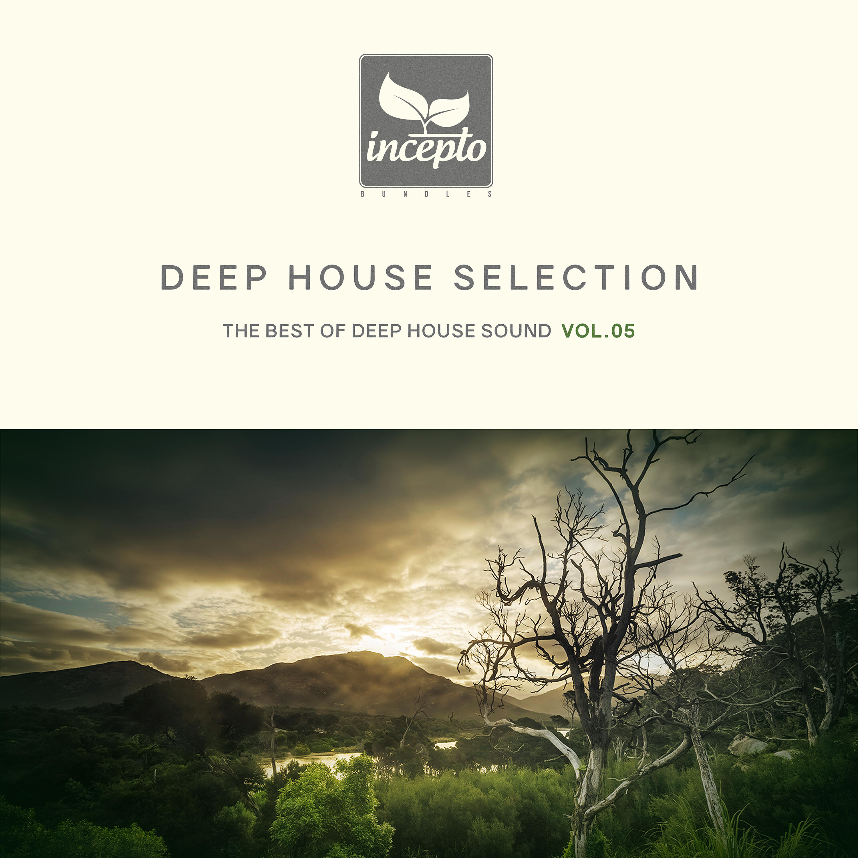 Релиз Deep House Selection, Vol. 5
