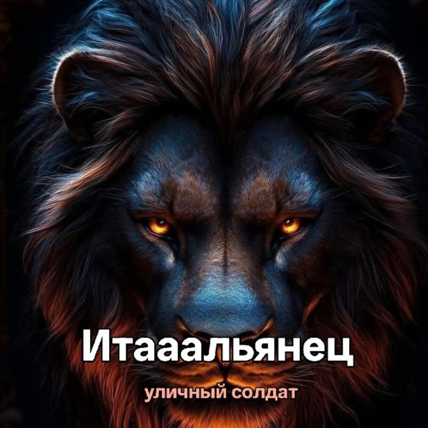 Релиз Уличный солдат