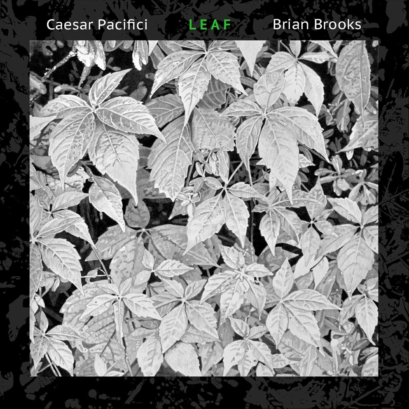 Релиз Leaf