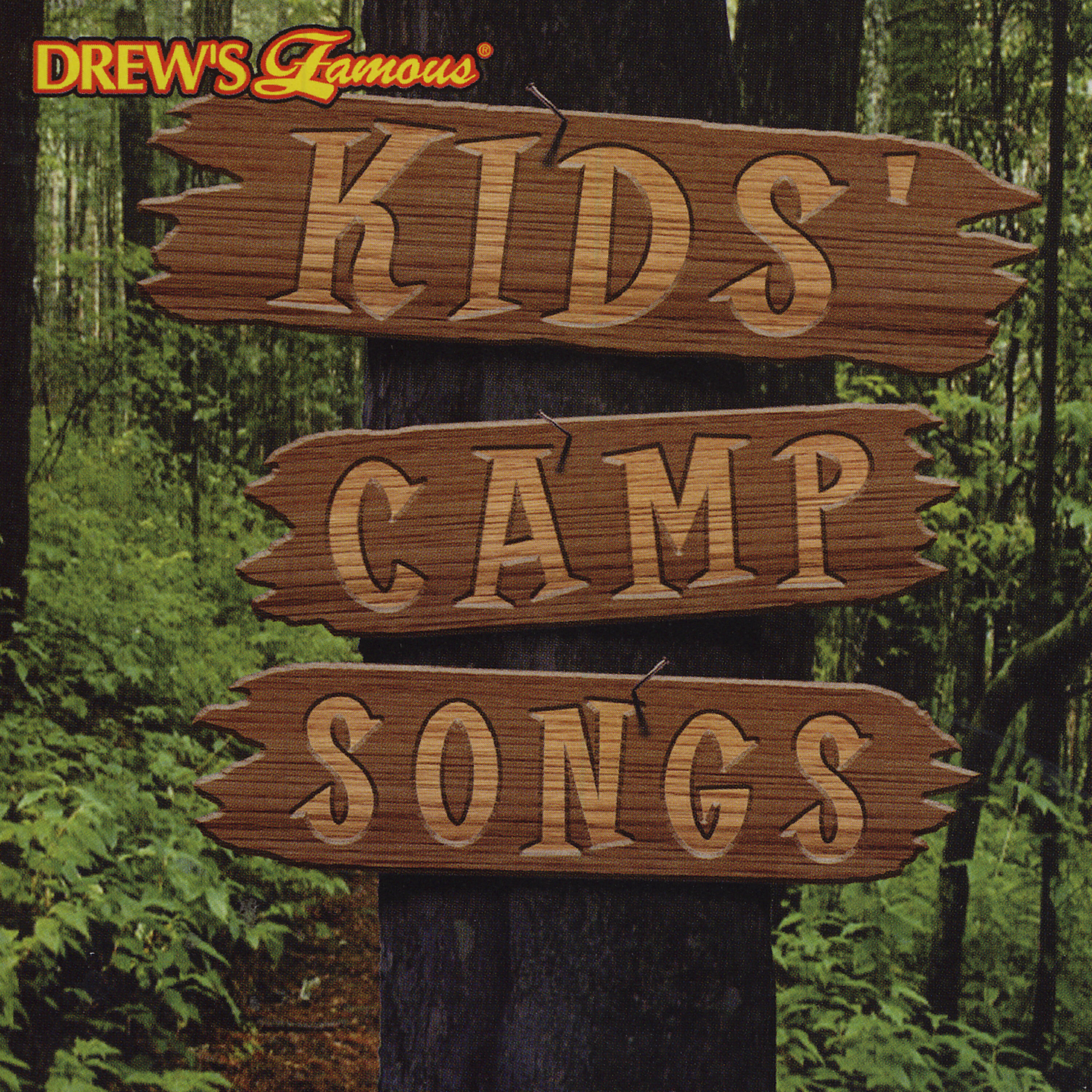 Постер альбома Kids' Camp Songs