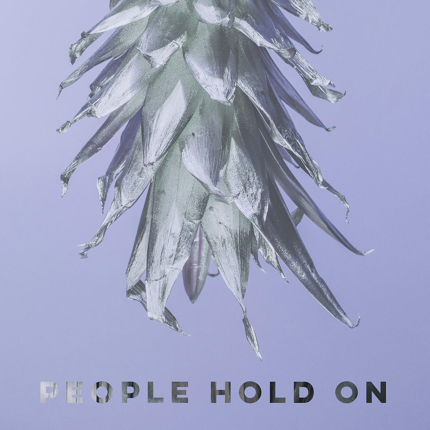 Релиз People Hold On