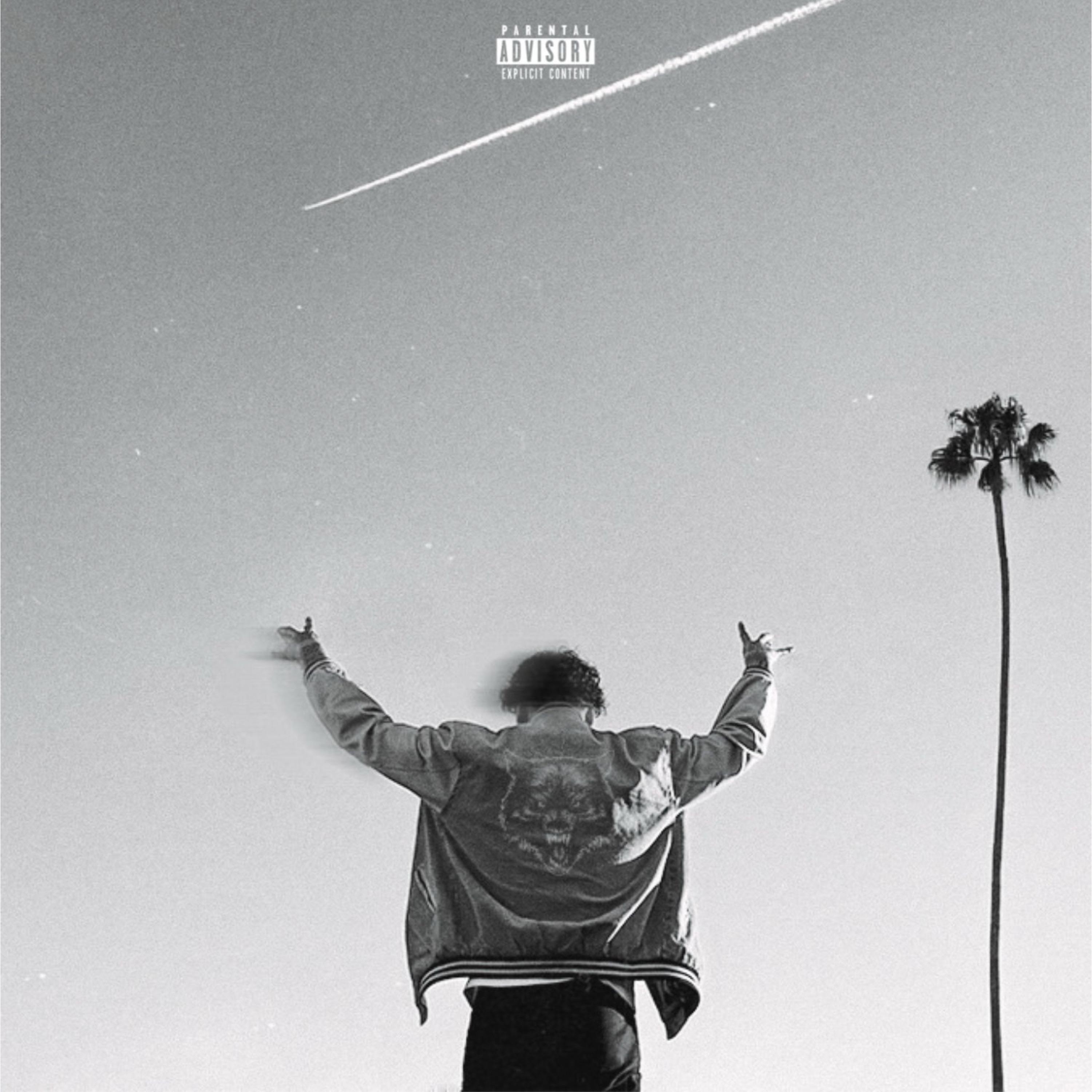 Релиз Westcoast Wolf