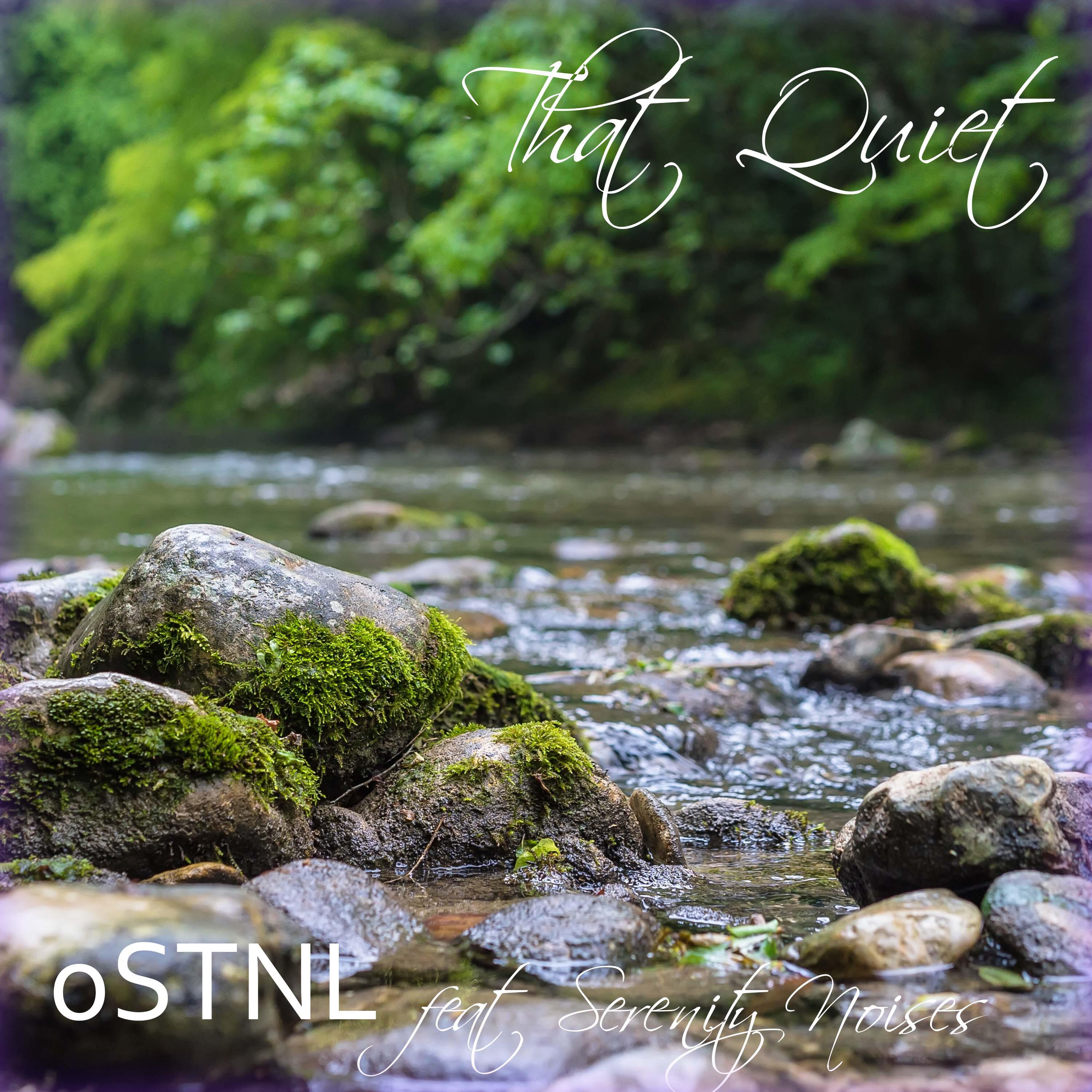 Релиз That Quiet