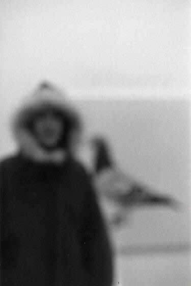 Steward