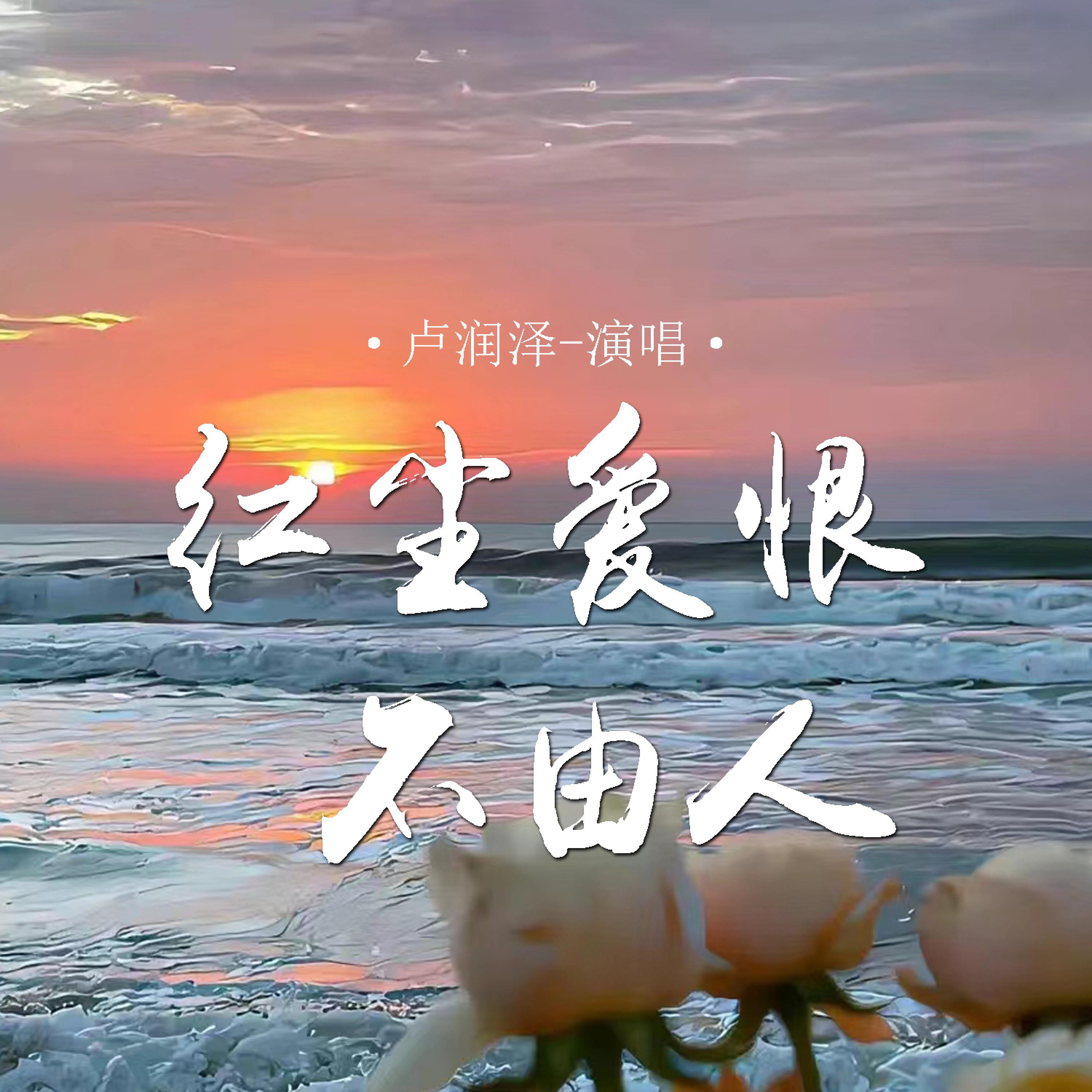 Релиз 红尘爱恨不由人