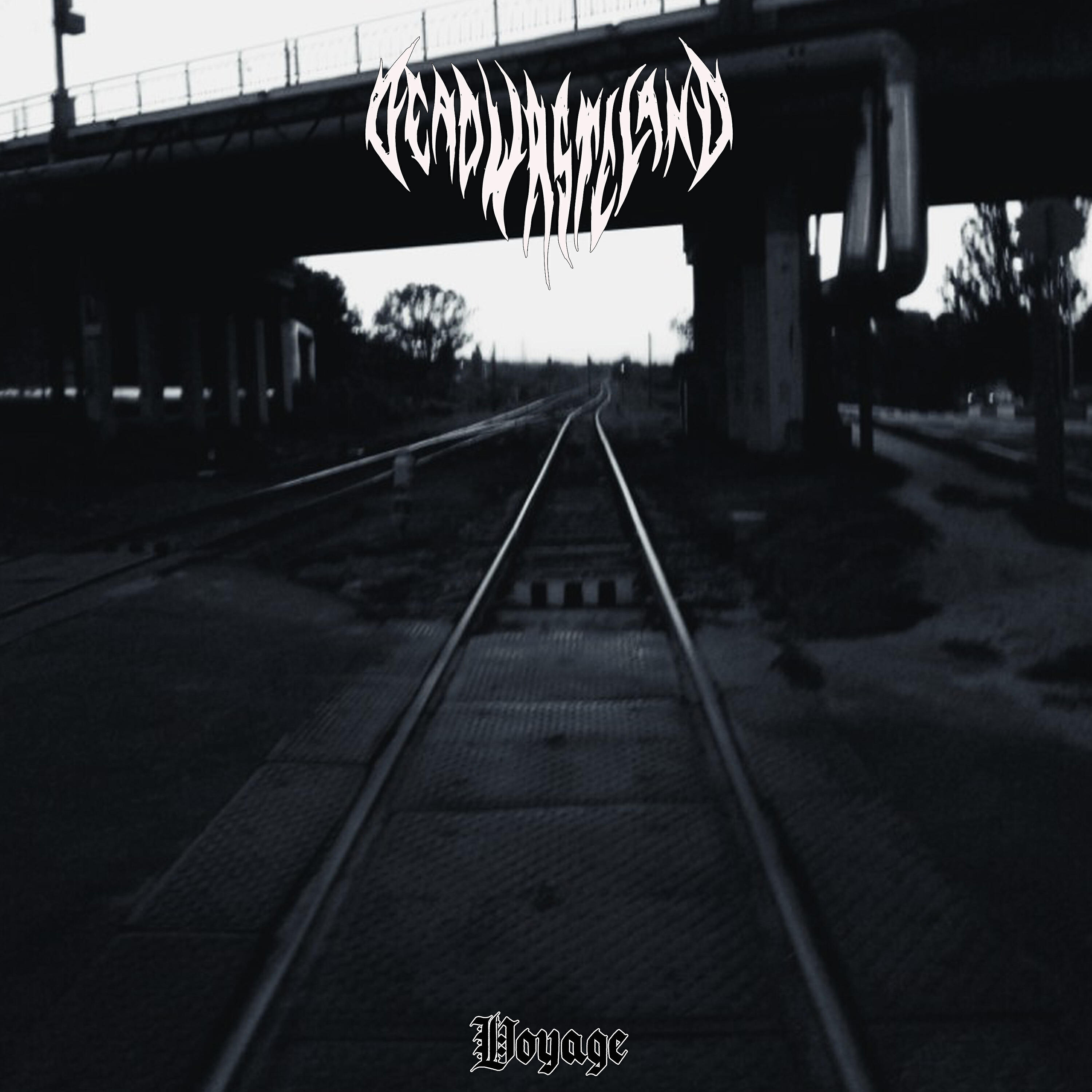 Релиз Voyage