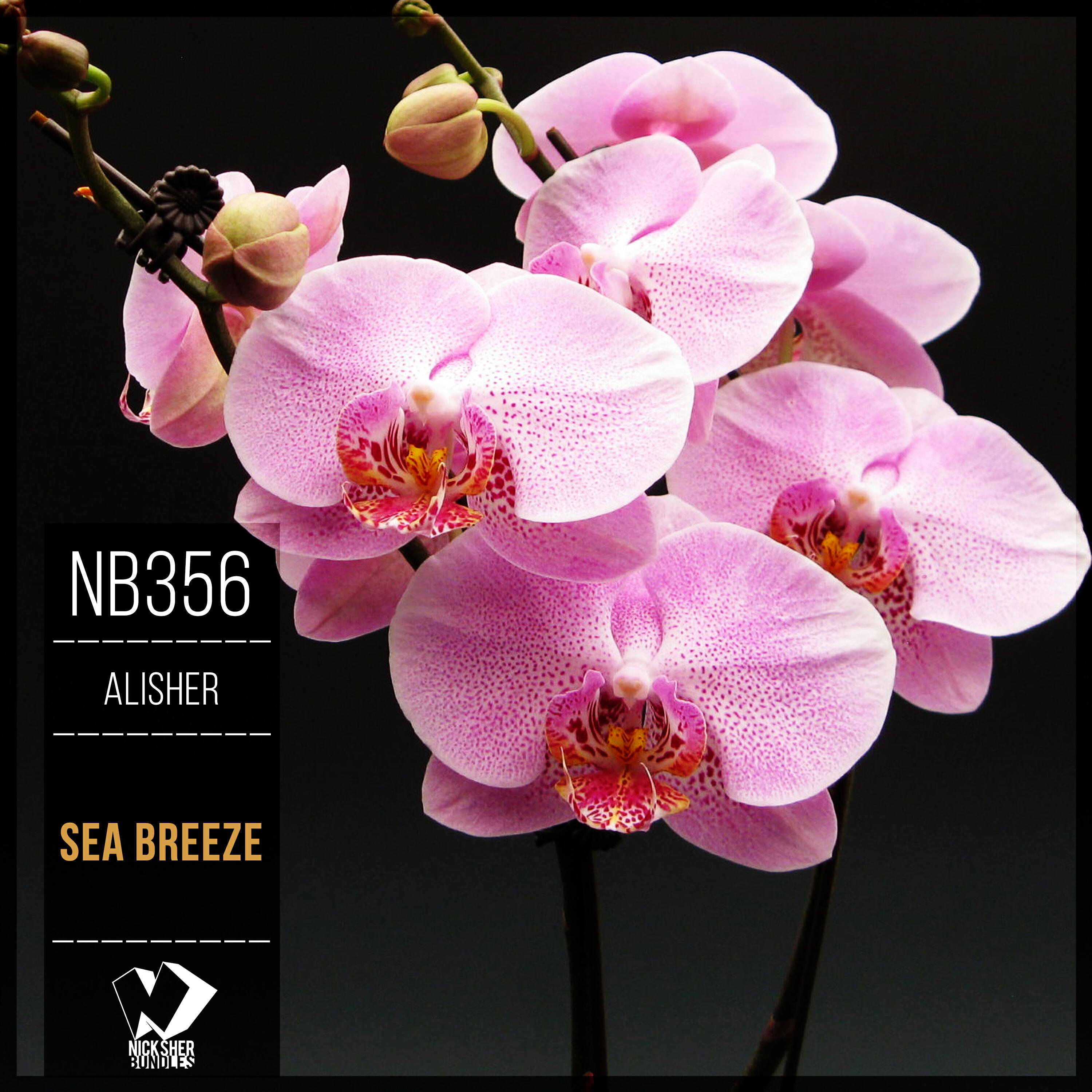 Релиз Sea ​​Breeze