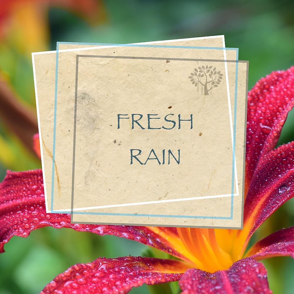 Релиз Fresh Rain